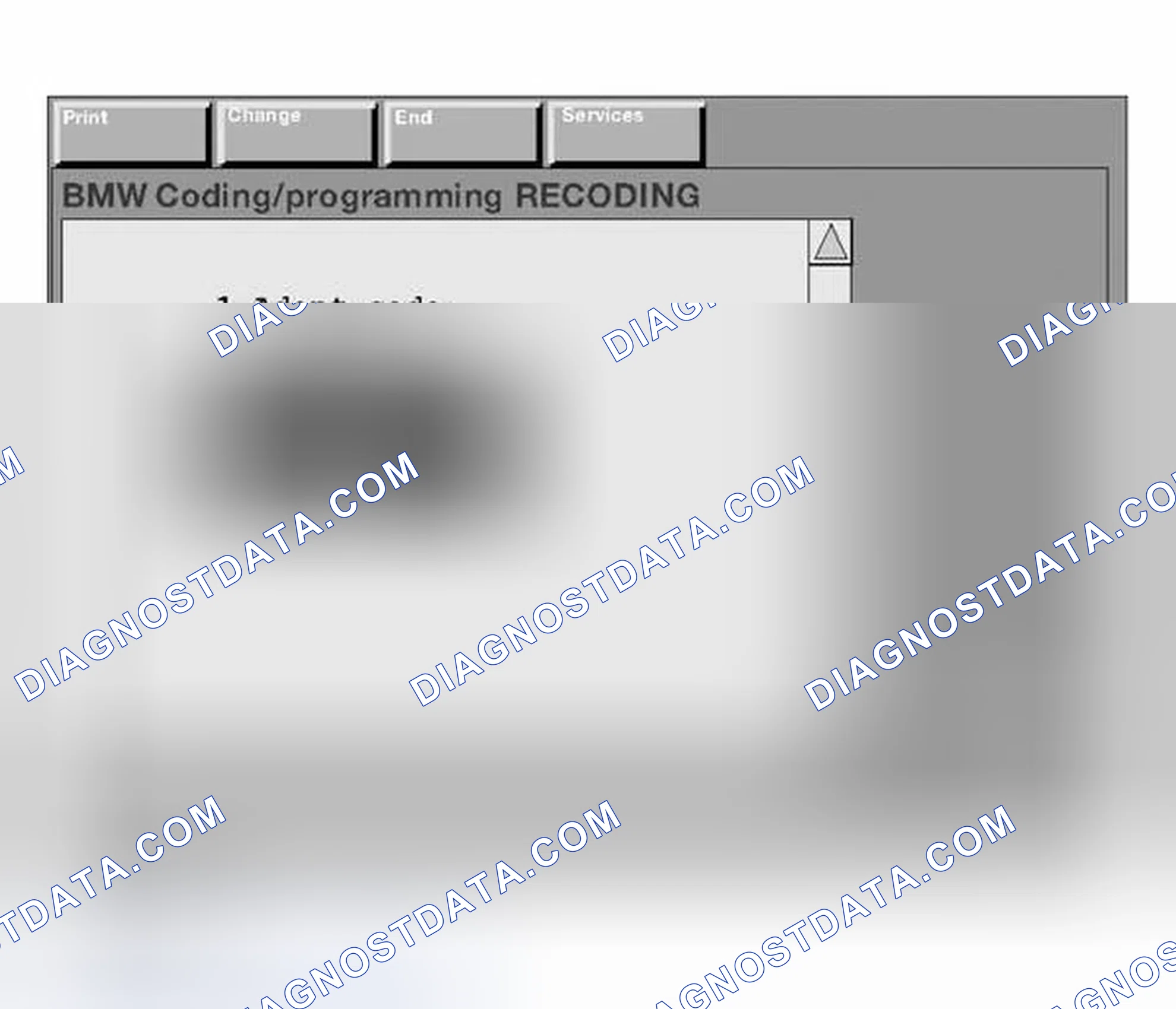Scheme 198: Manually Entering the Variant Code