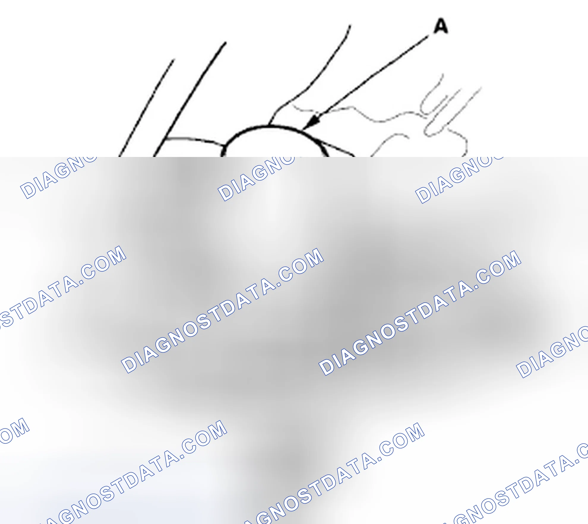 Scheme 1096