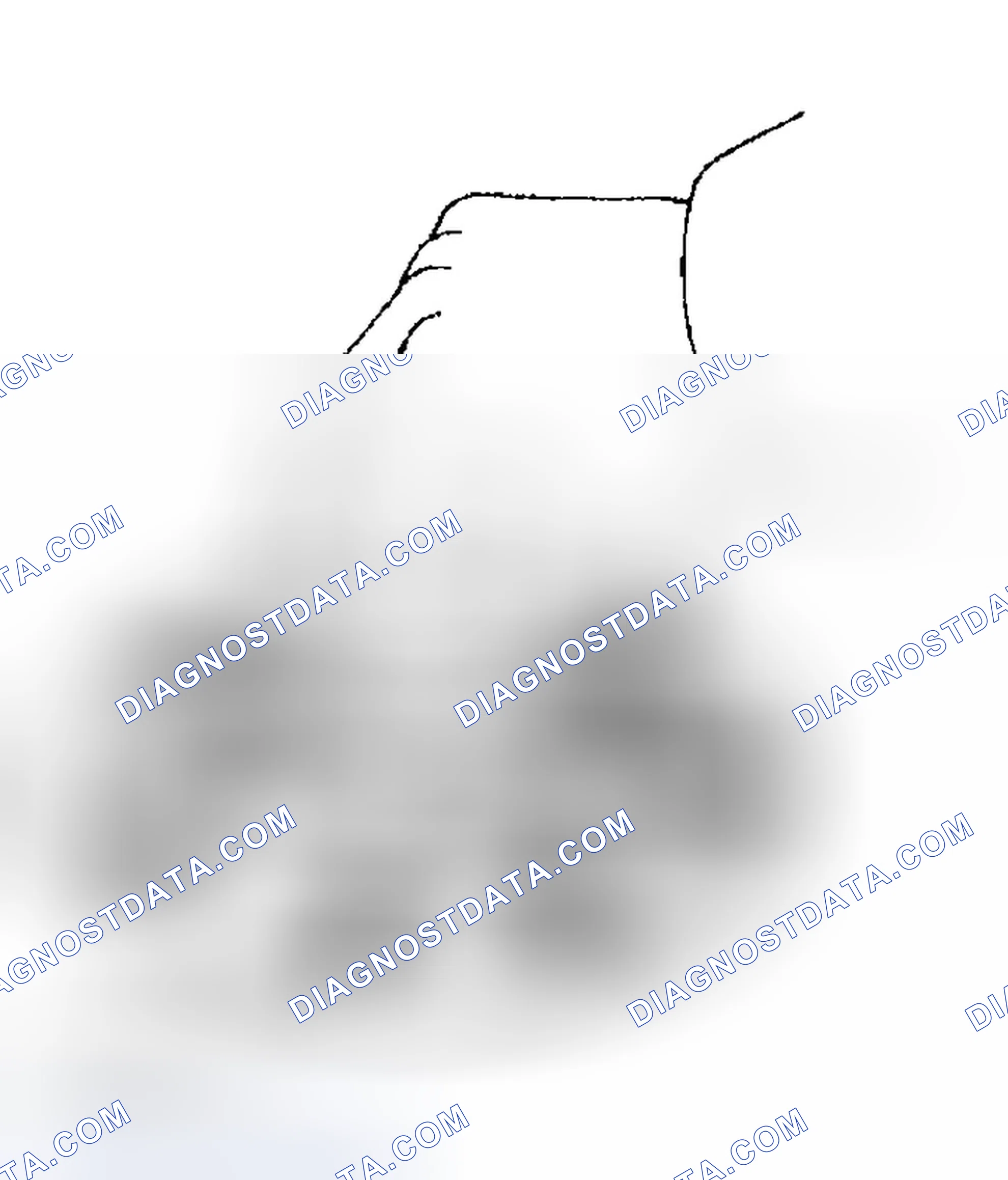 Scheme 49: INSPECTION PROCEDURE
