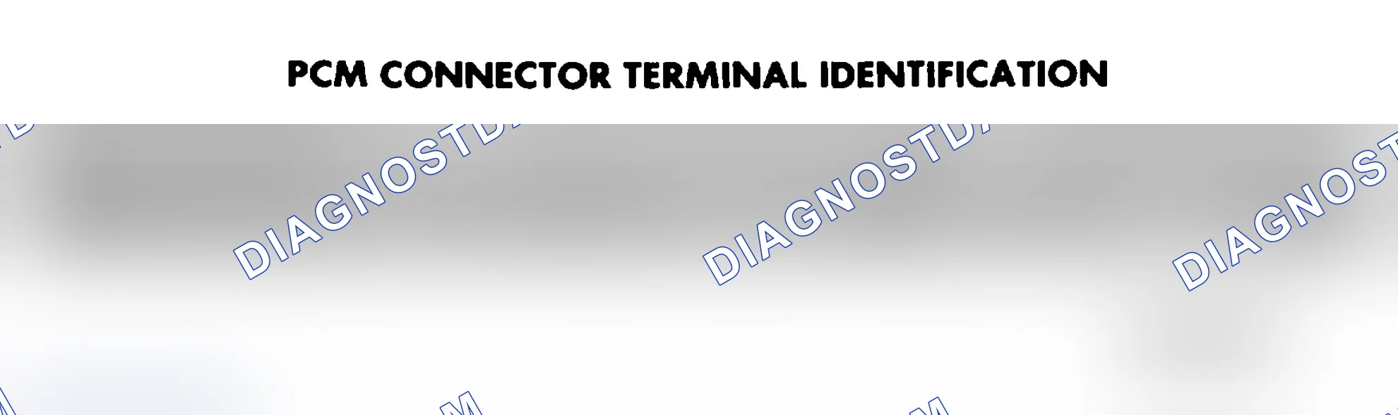 Scheme 5