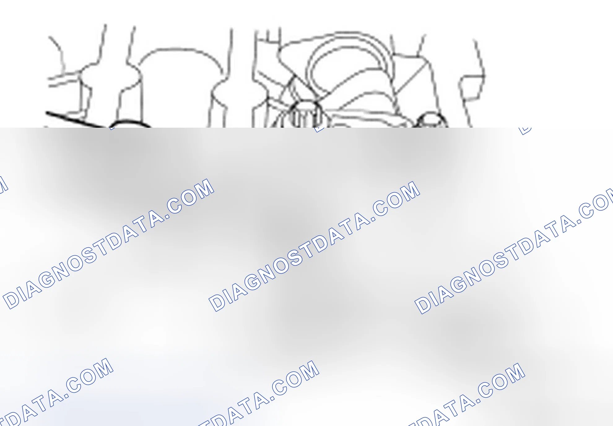 Scheme 248: Valve Clearance Check