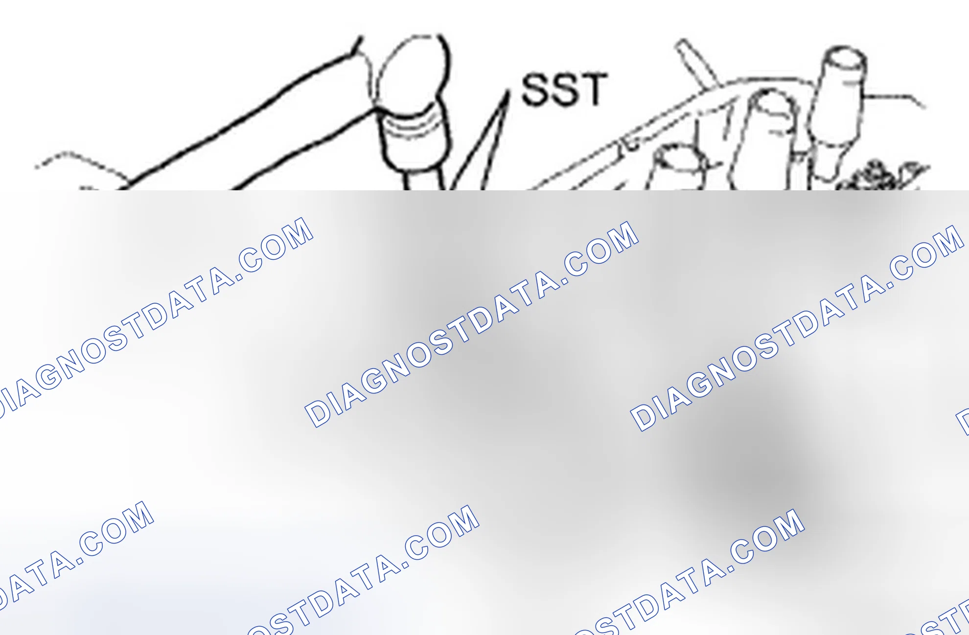 Scheme 515
