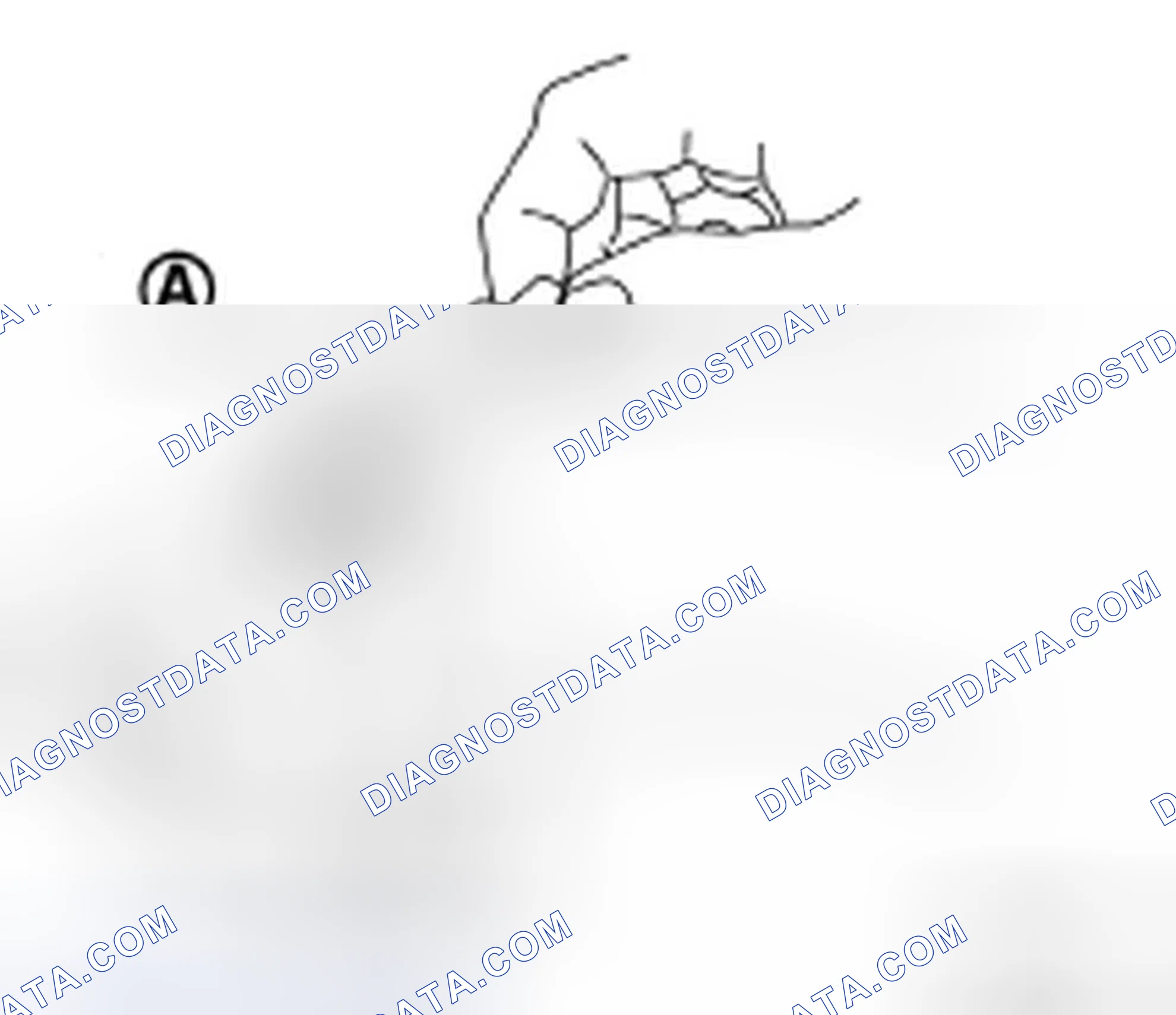 Scheme 7: ADJUSTMENT
