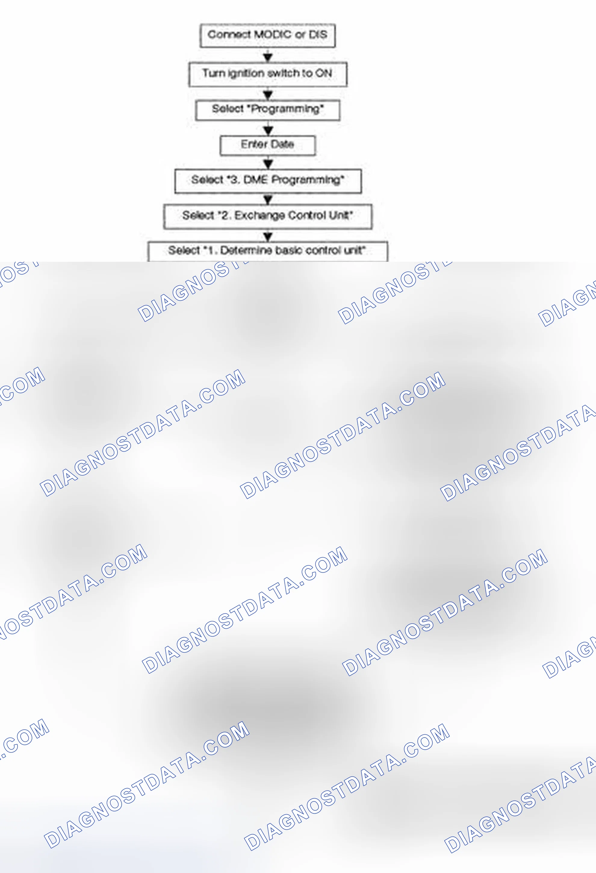 Scheme 225: Procedure for Flash Programming a Control Unit.