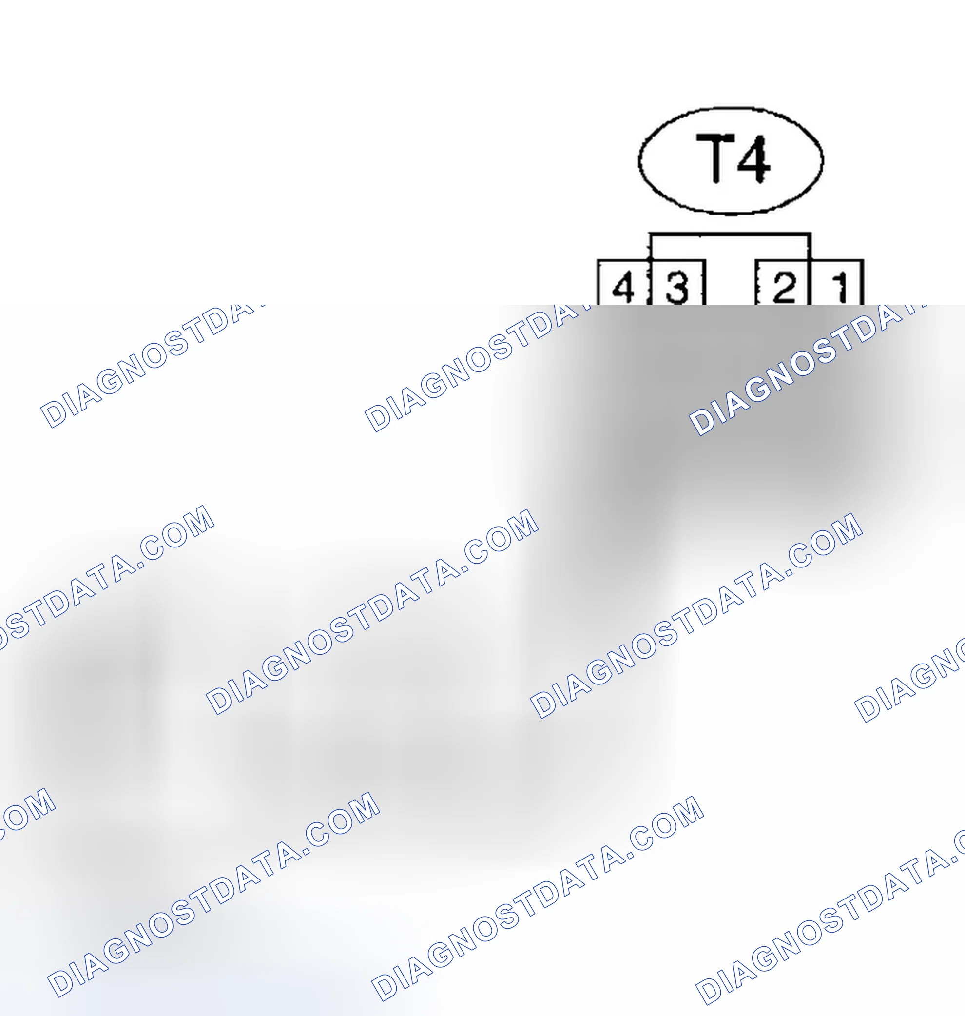 Scheme 491: Diagnostic Procedure