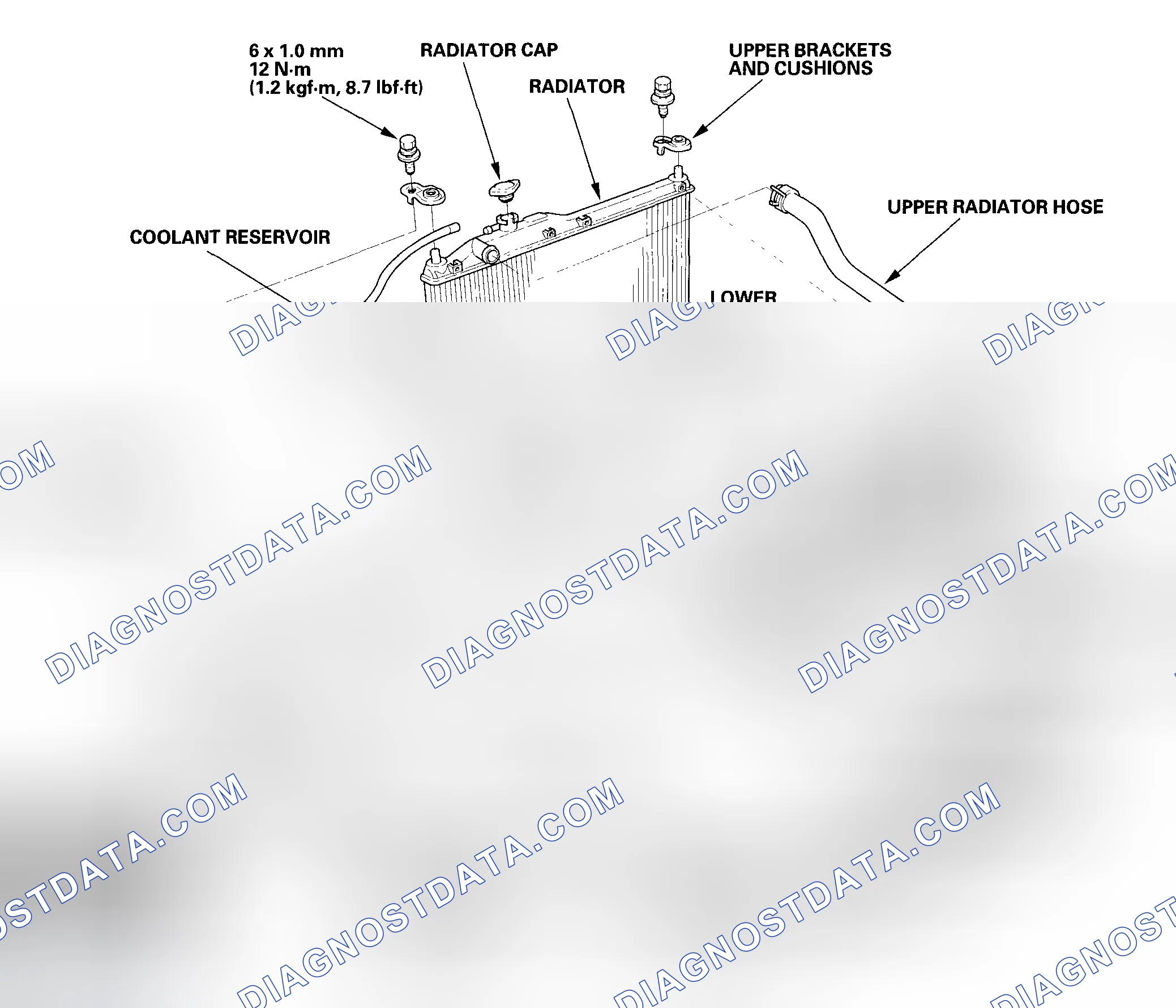 Scheme 10: Radiator and Fan Replacement