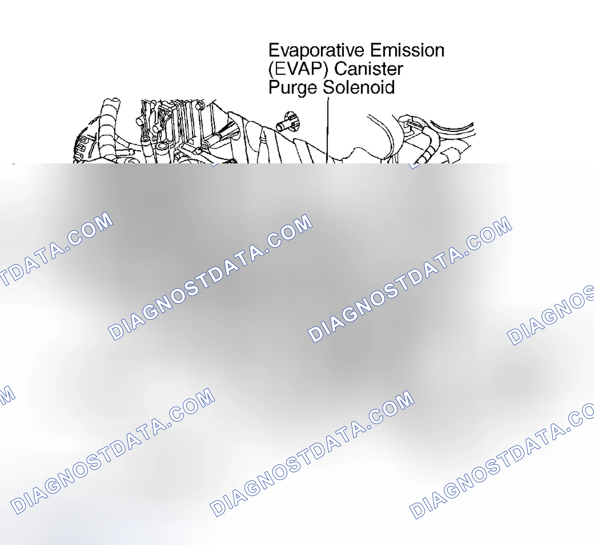 Scheme 5