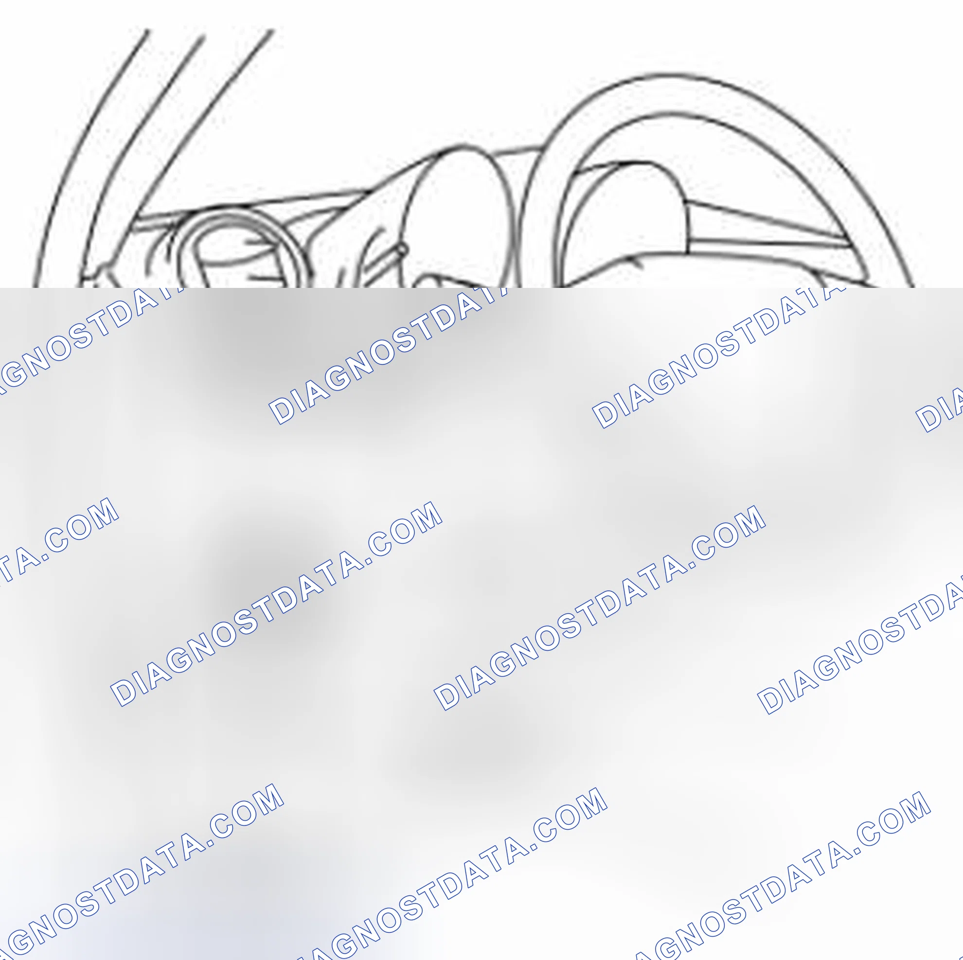 Scheme 152: DTC Inspection
