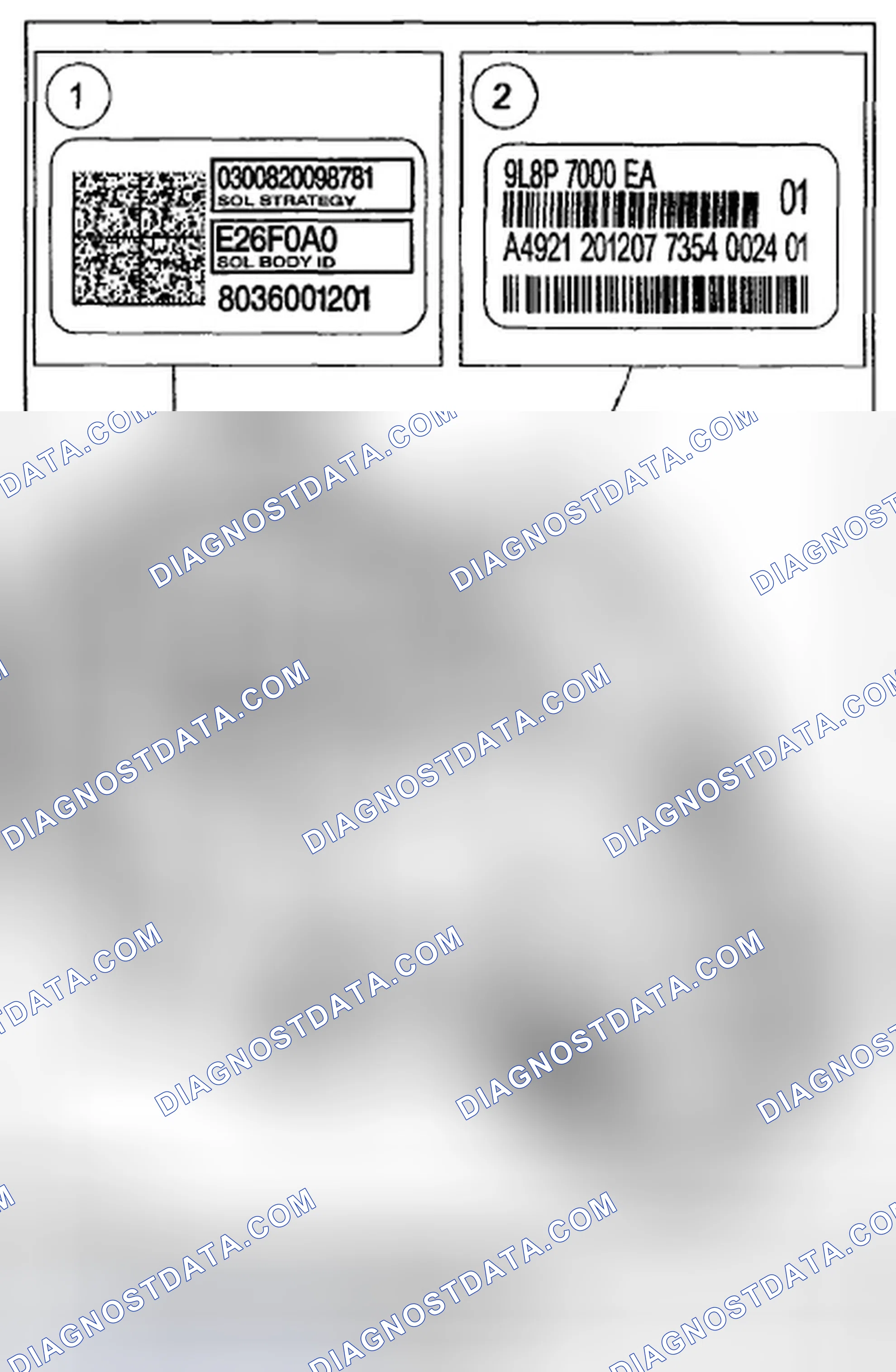 Scheme 35: Identification Tags