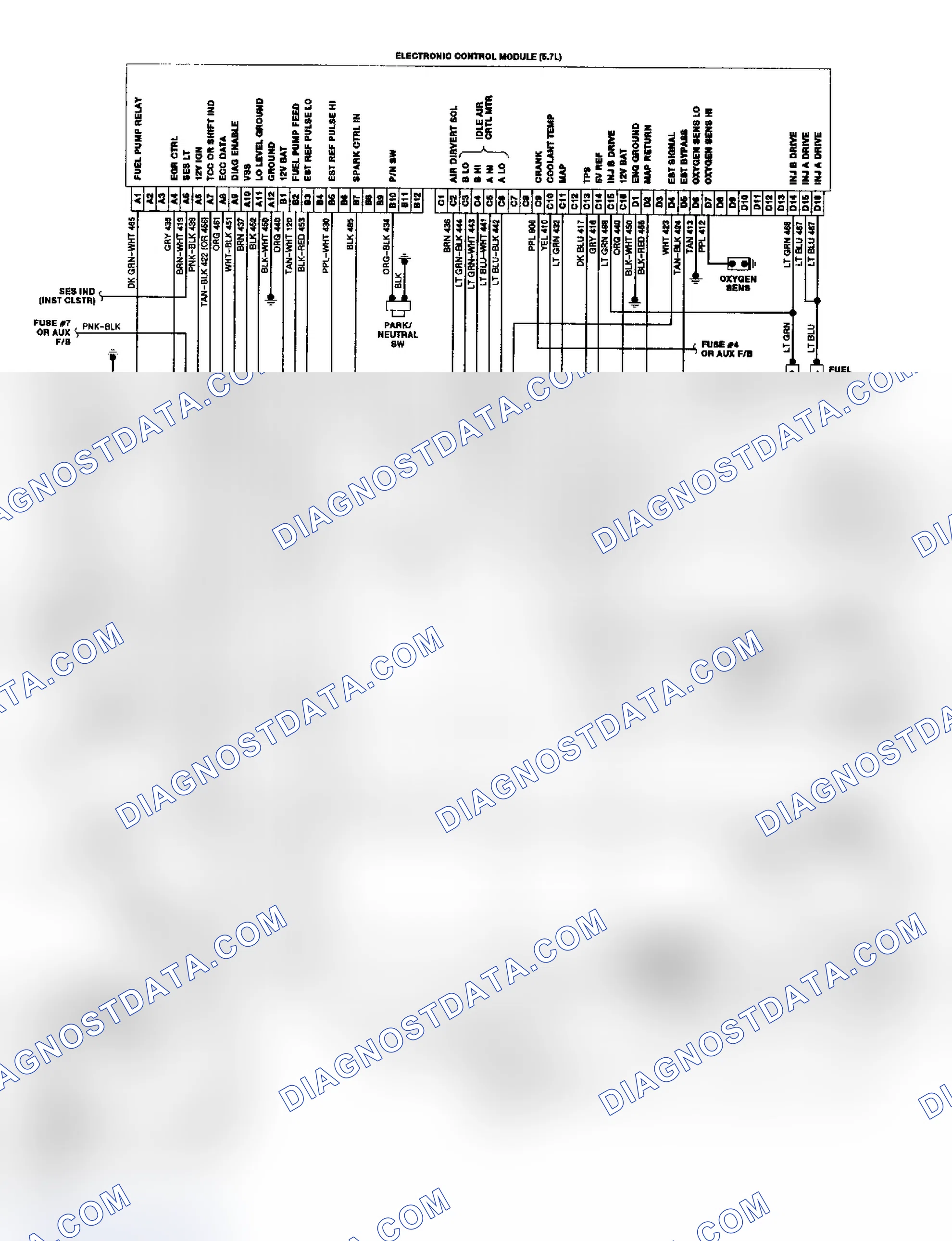 Scheme 19: "P" Series TBI/CCC Wiring Diagram