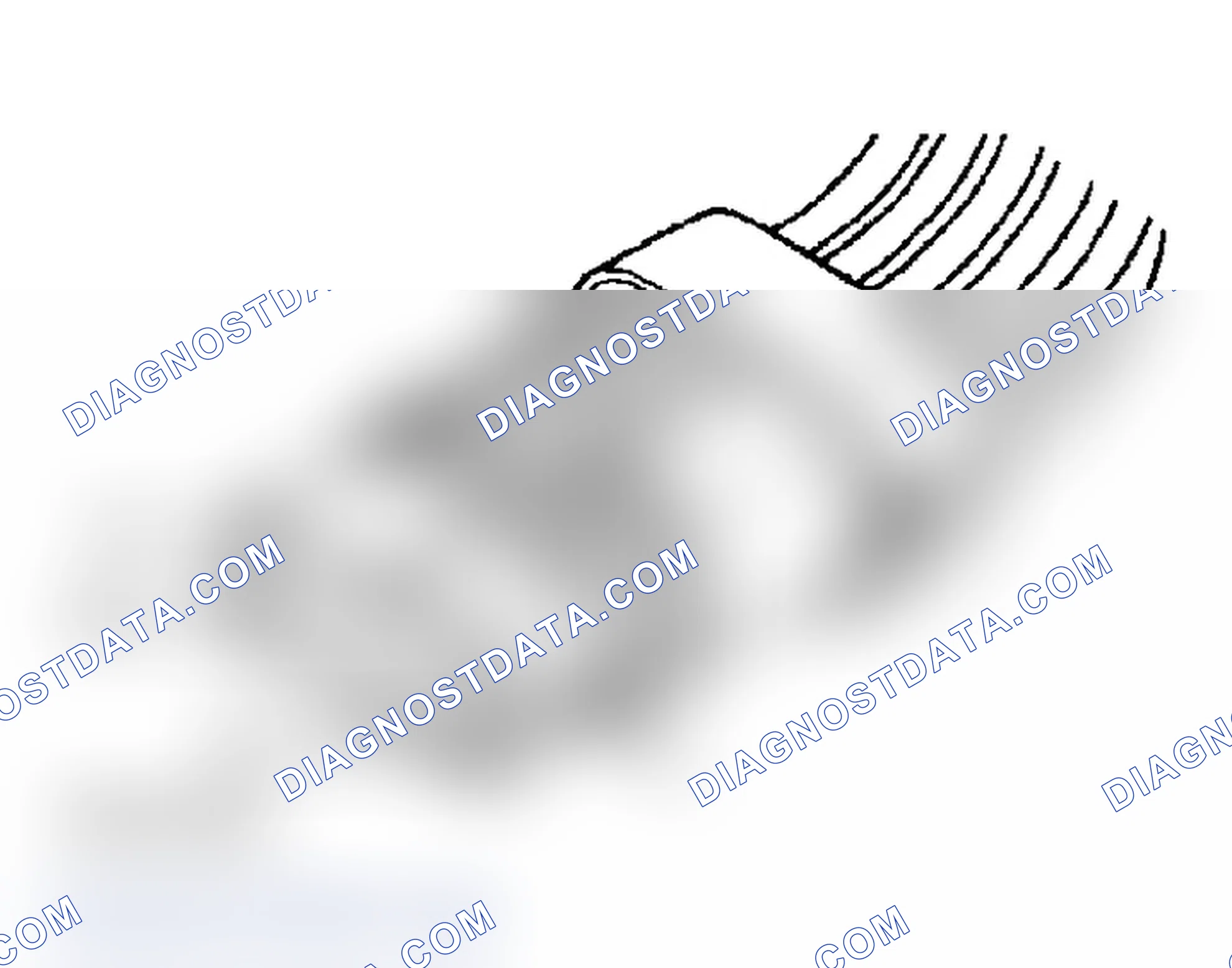 Scheme 21: TRANSMISSION RANGE SENSOR CONNECTOR TERMINAL IDENTIFICATION (4-SPEED A/T)