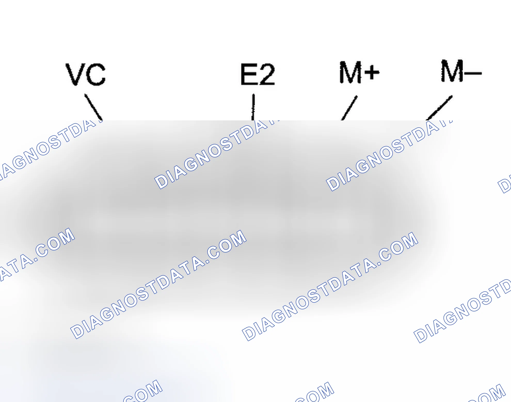 Scheme 605
