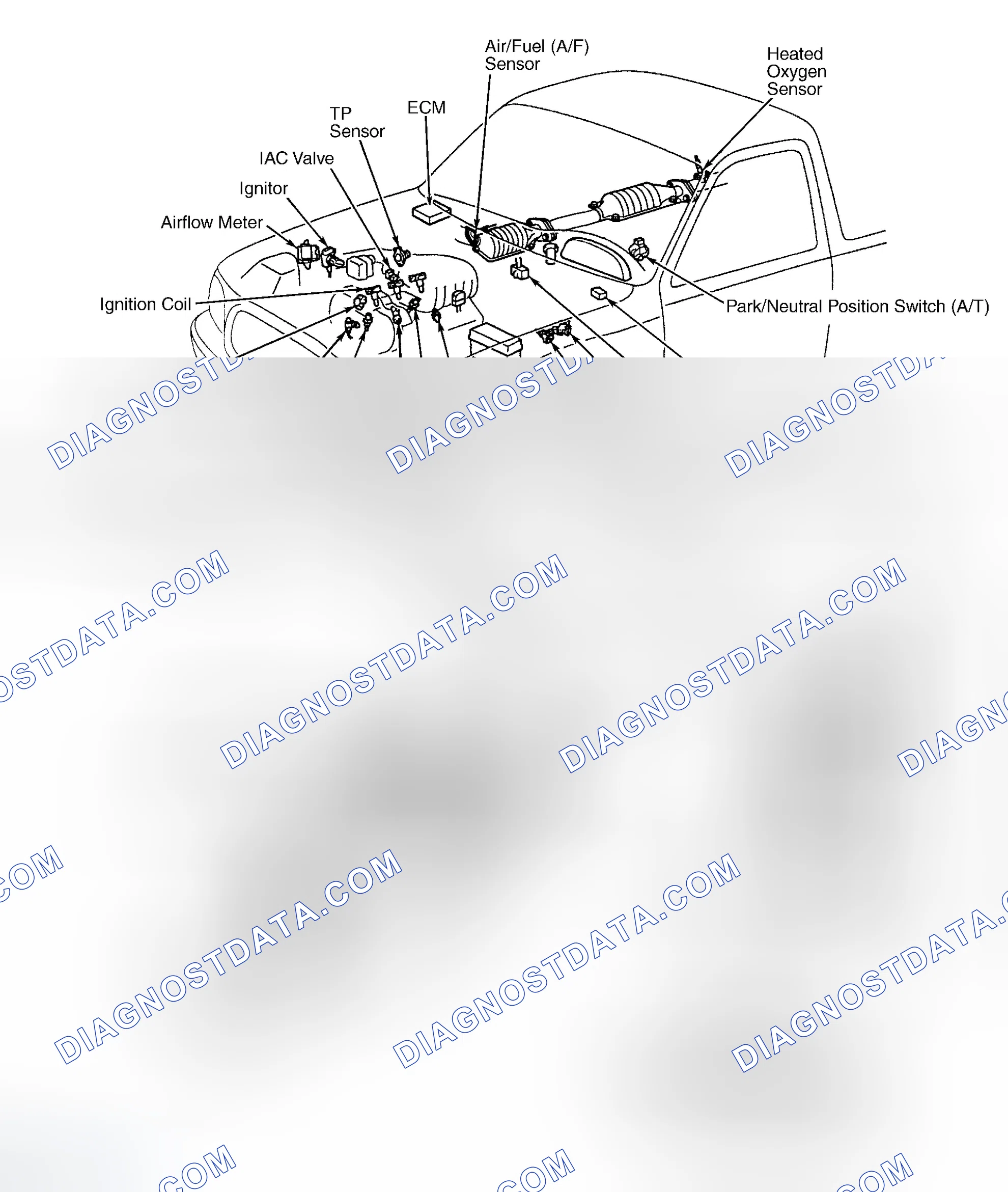 Scheme 176