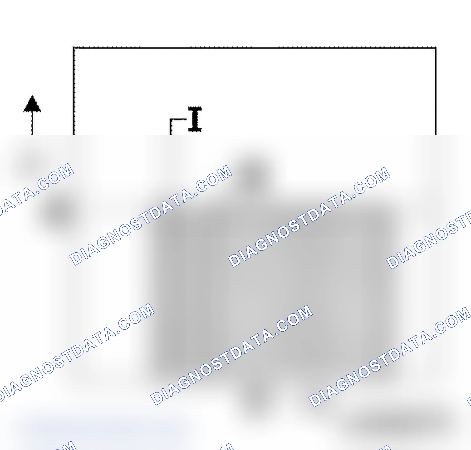Common Rail