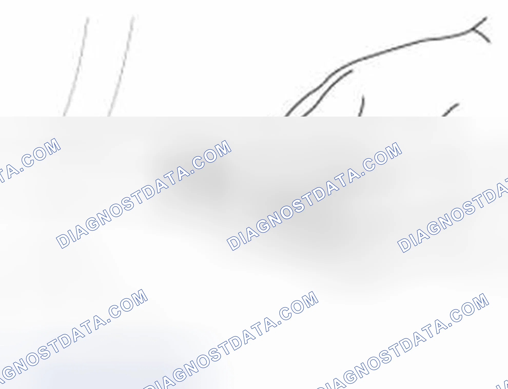 Scheme 5: Inspection