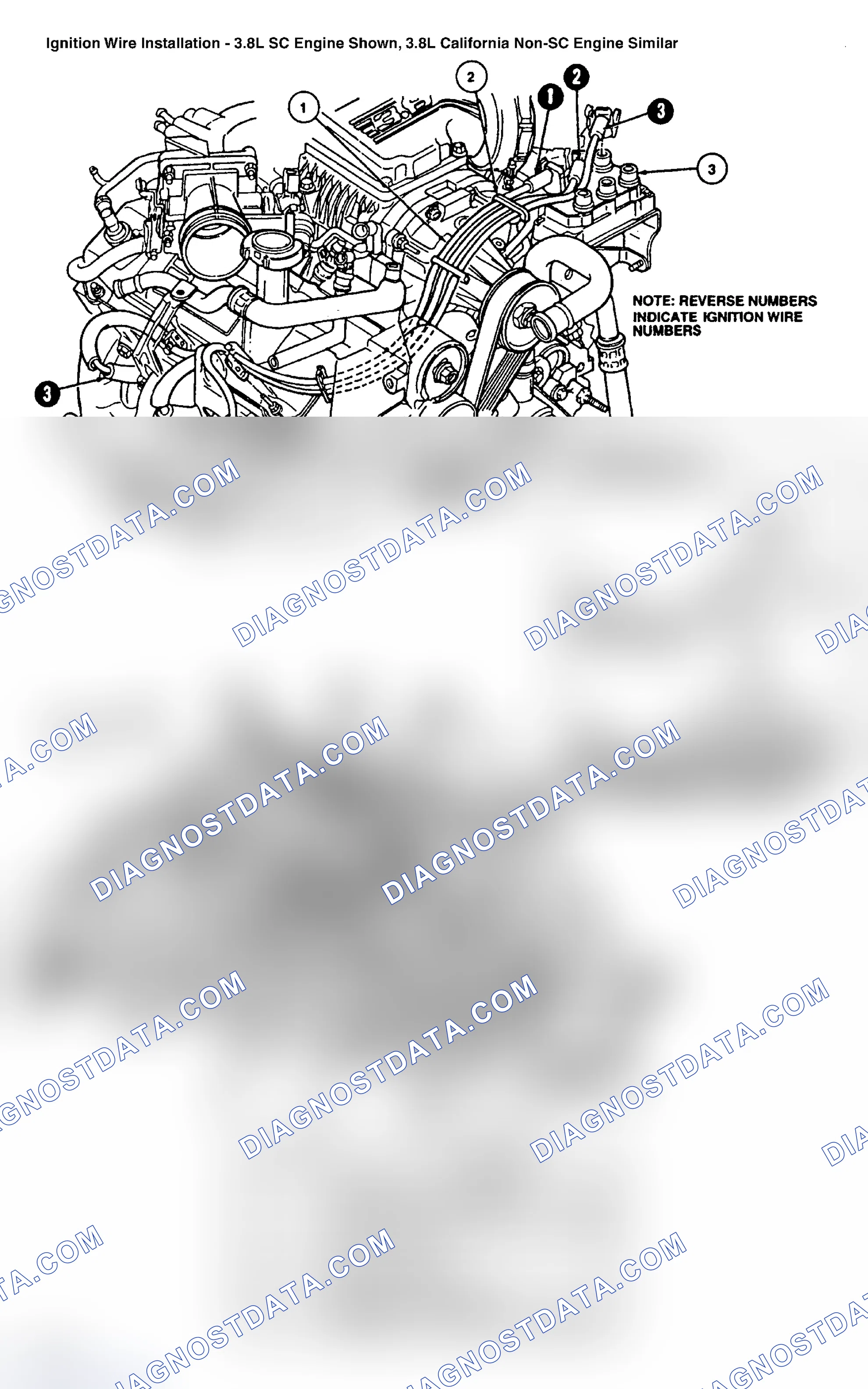 Scheme 8: Spark Plug Wire Routing (3.8L Thunderbird SC - Supercharged)