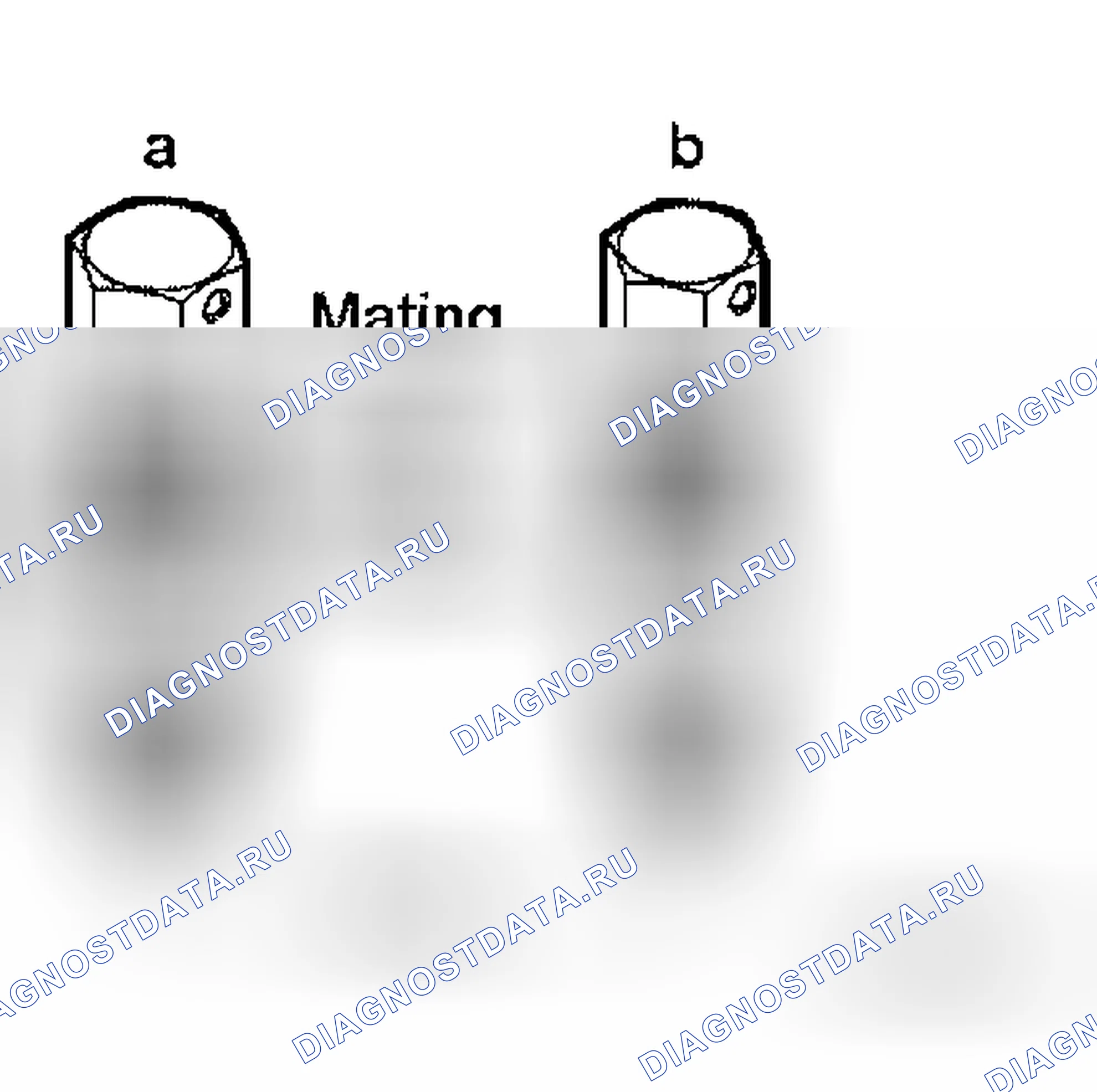Scheme 242