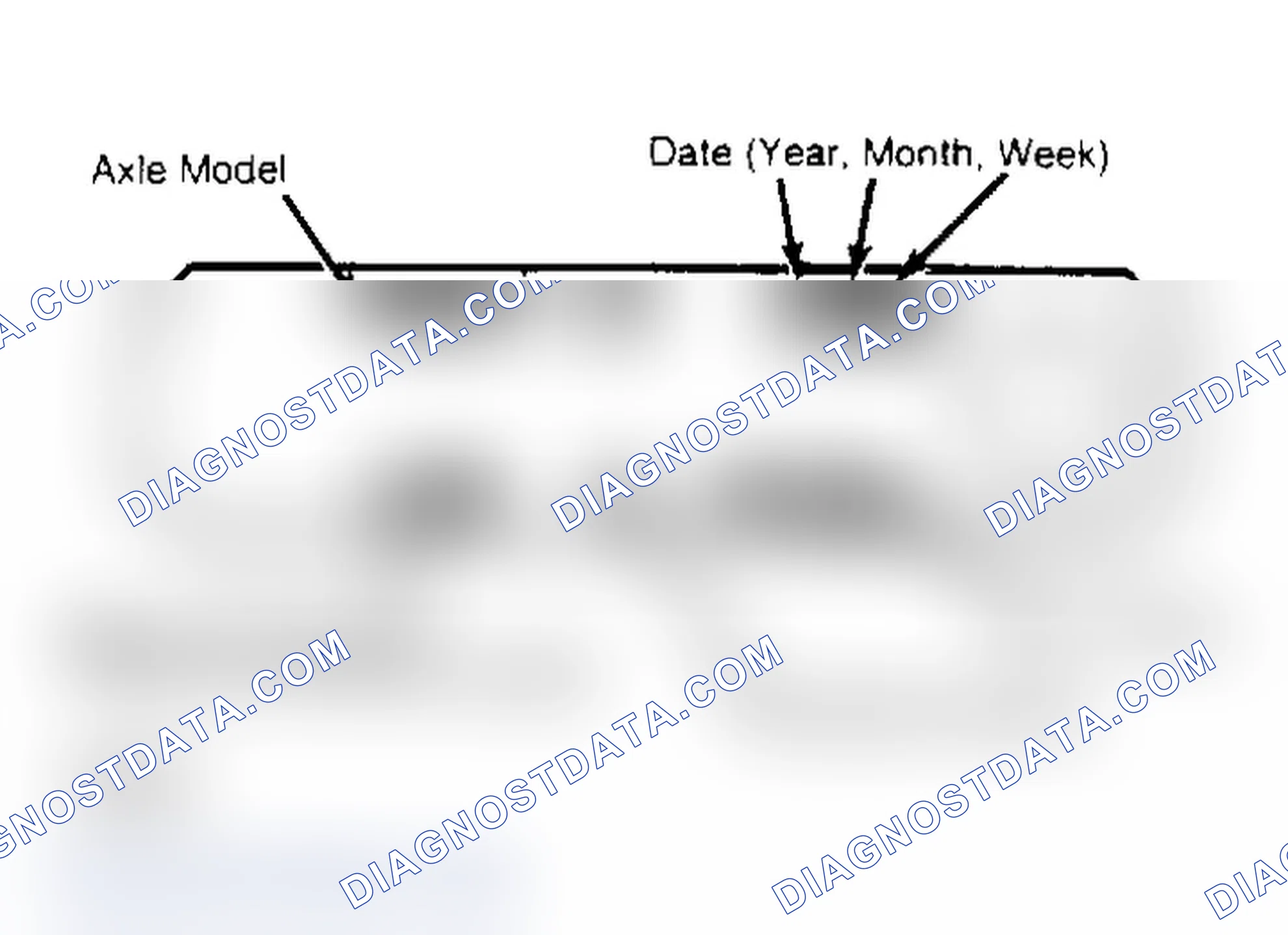 Scheme 1: AXLE RATIO & IDENTIFICATION