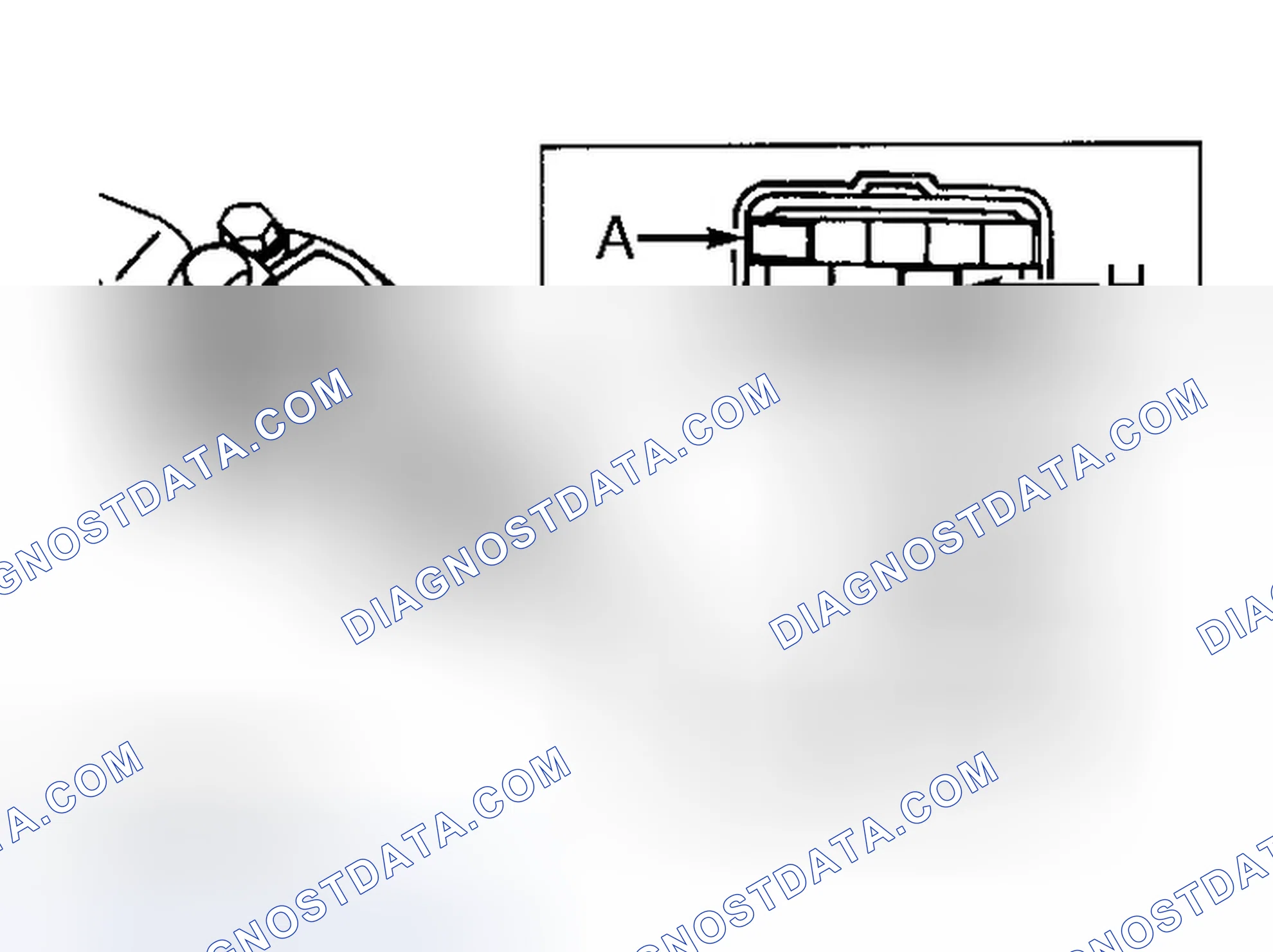 Scheme 5