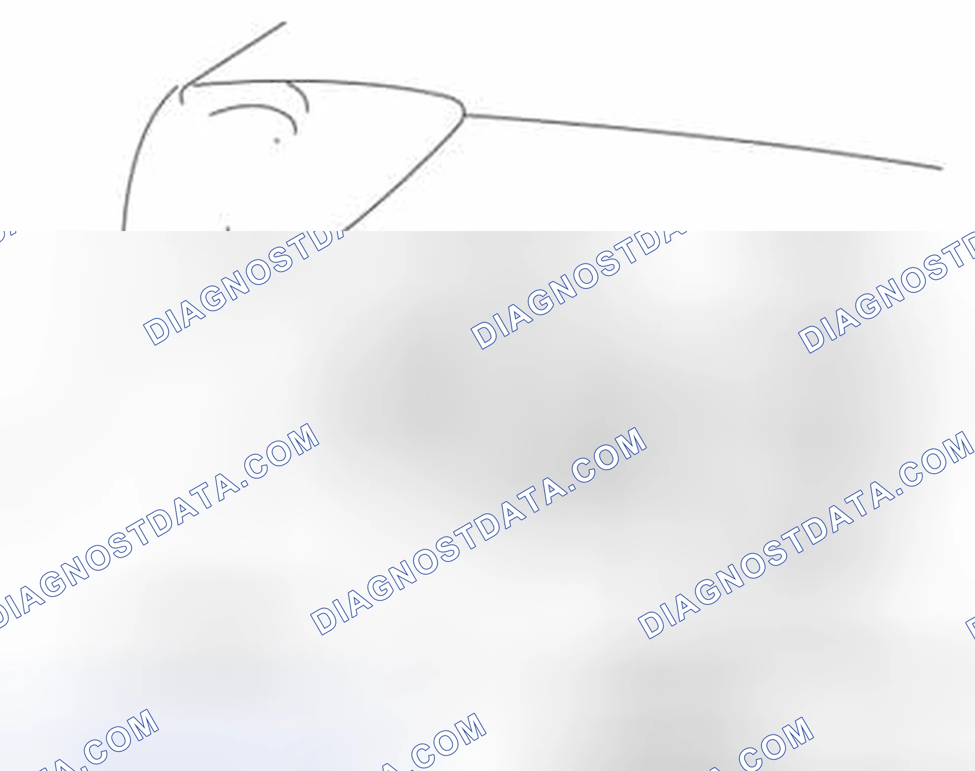 Scheme 59: Hatchback