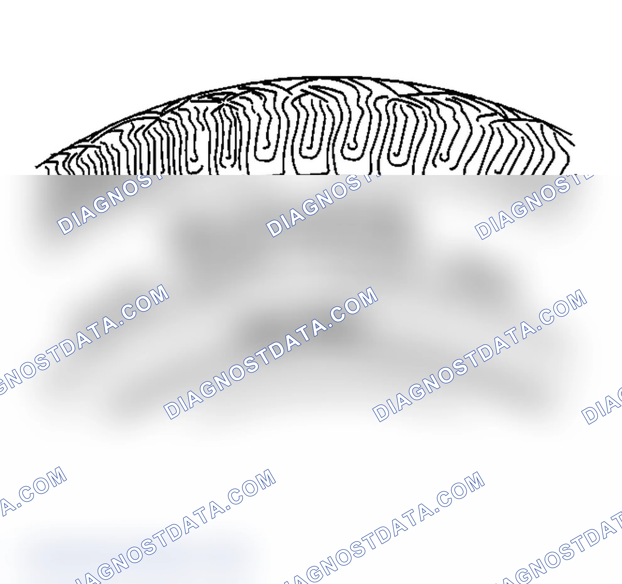 Scheme 3: Tire and Wheel Inspection