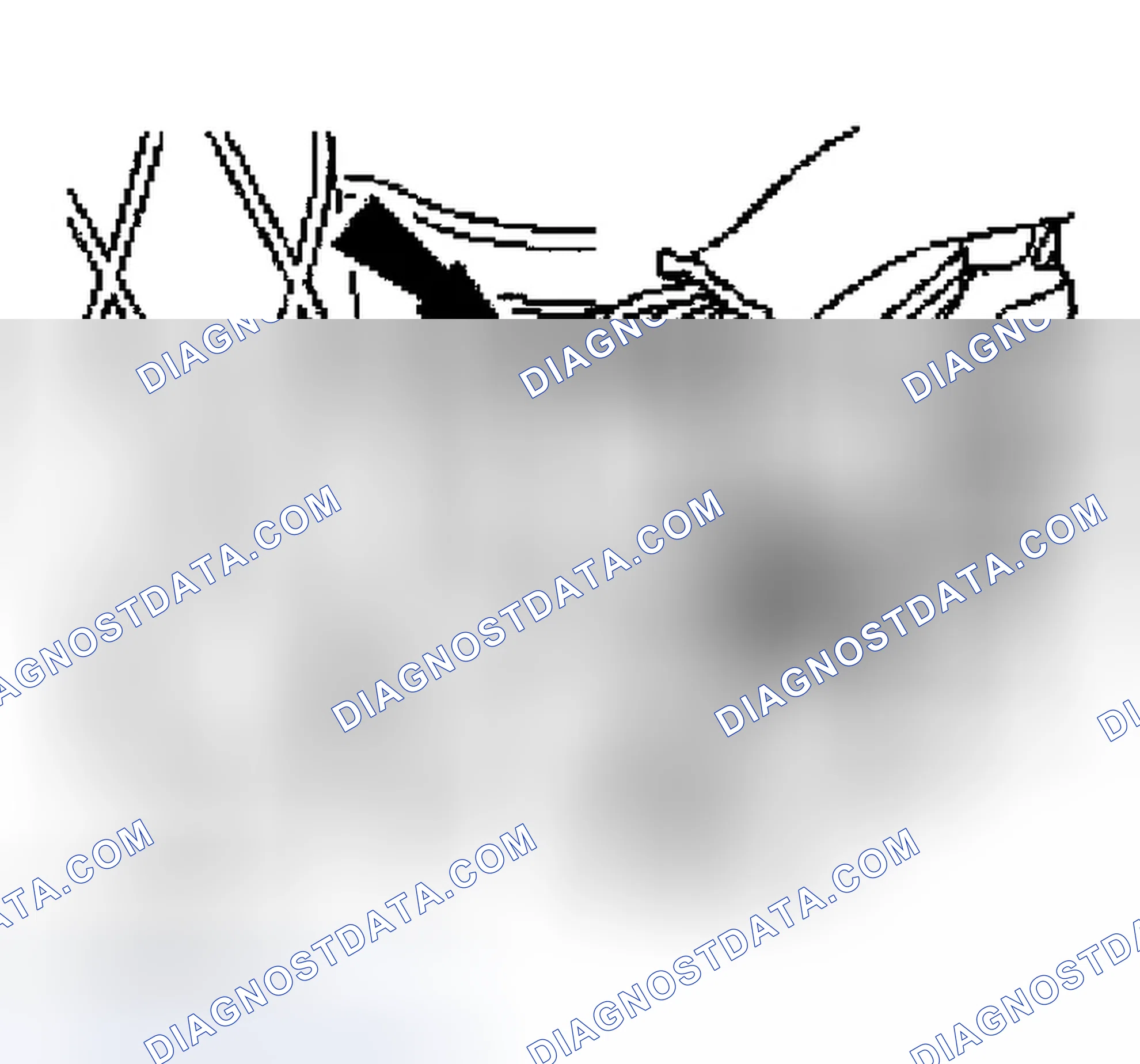 Scheme 146