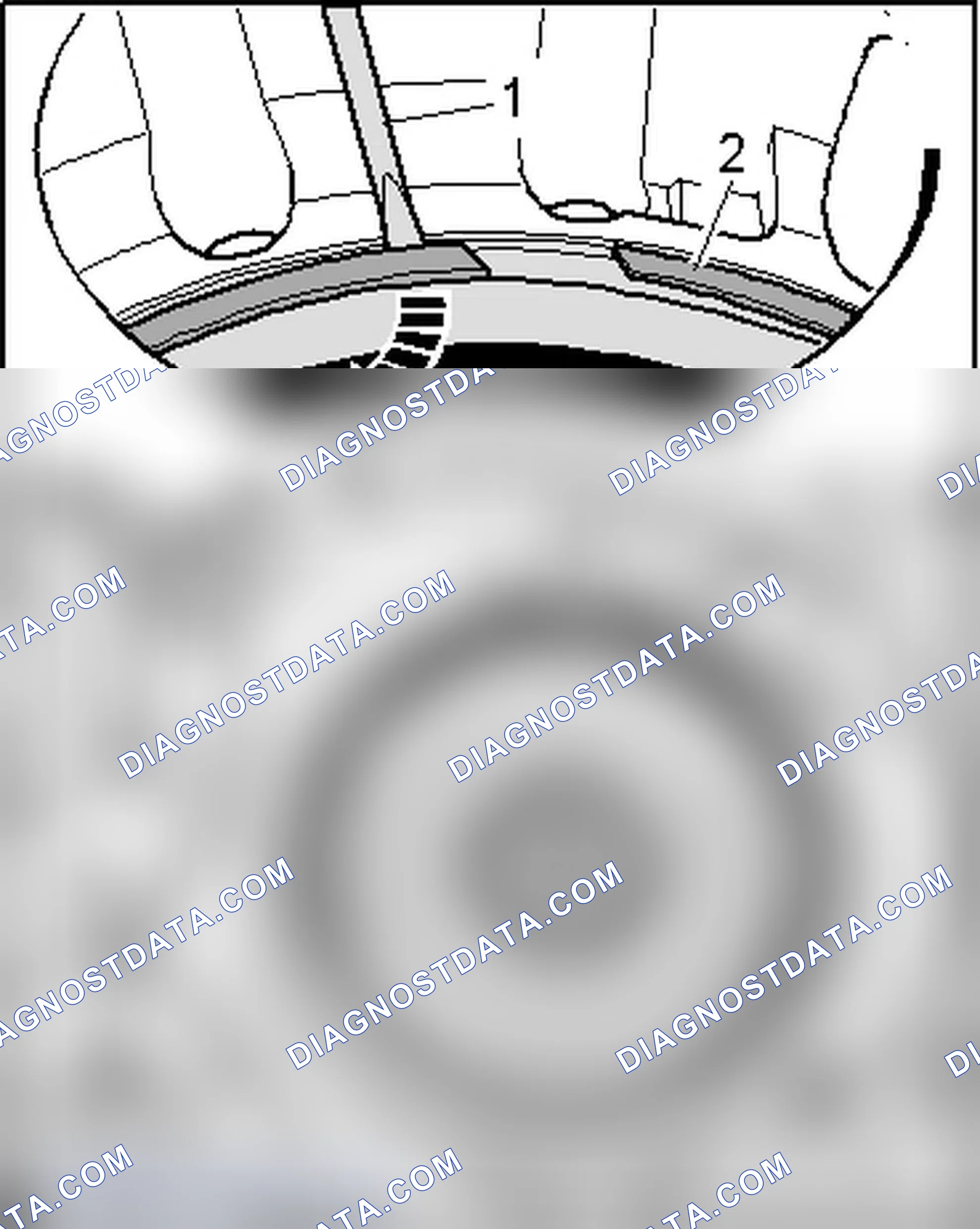 Scheme 219