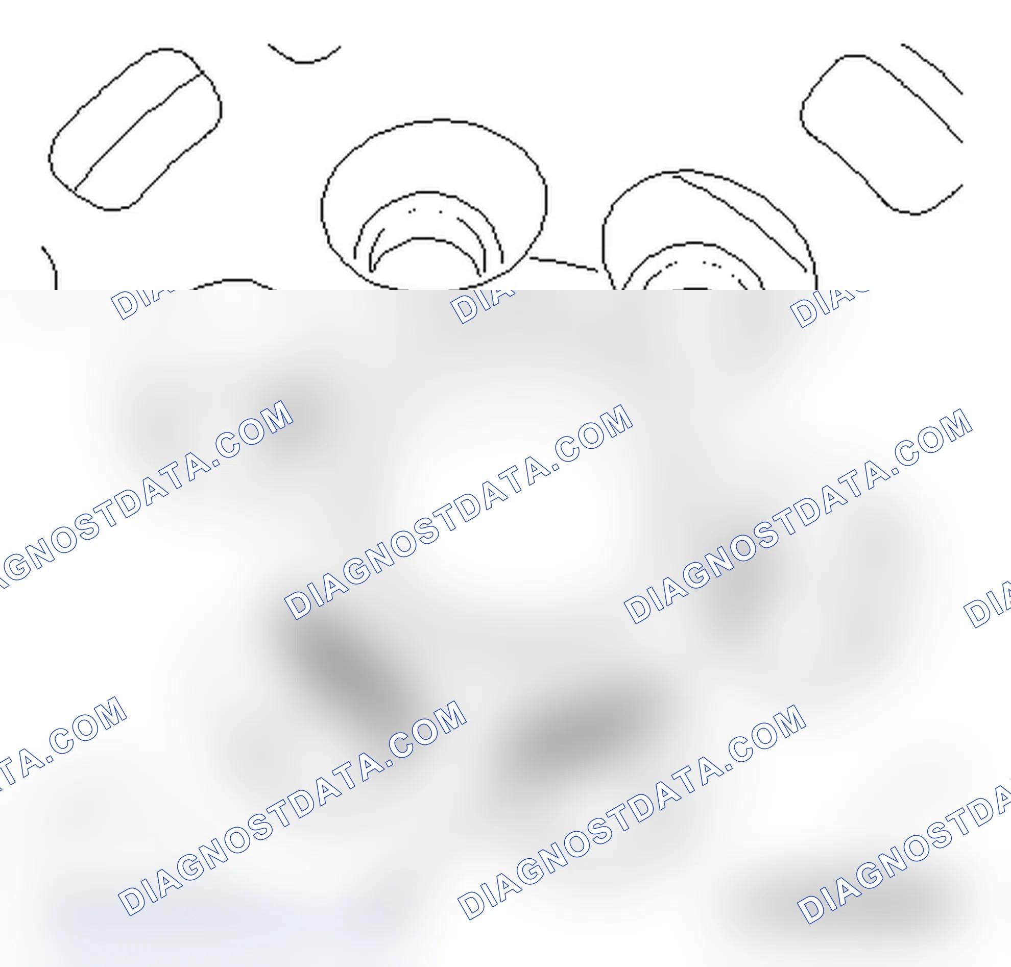 Damage Diagnosis, Dual Mass Flywheel