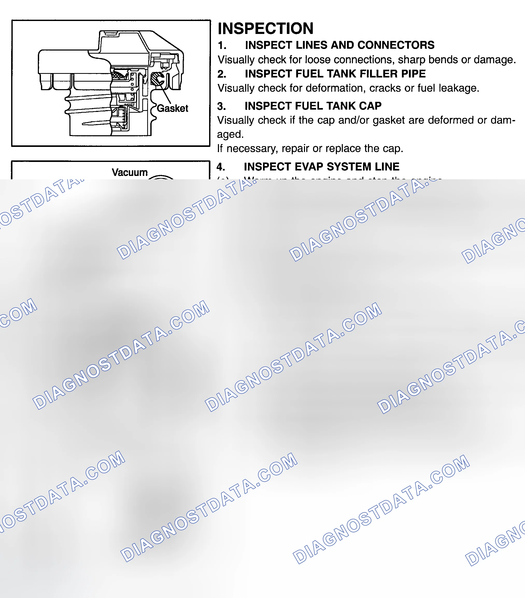 Scheme 265: Fuel EVAP System Test (ECHO)