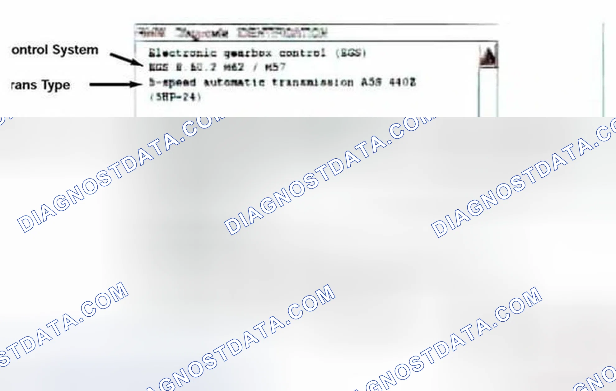 Scheme 484: Identification Page