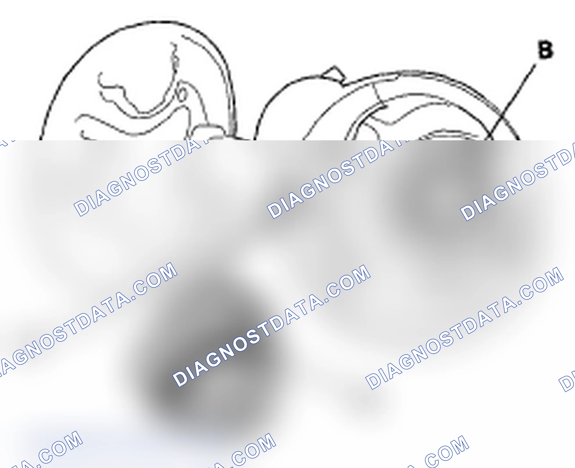 Scheme 114: DTC P0455: EVAP System Large Leak Detected; DTC P0456: EVAP System Very Small Leak Detected