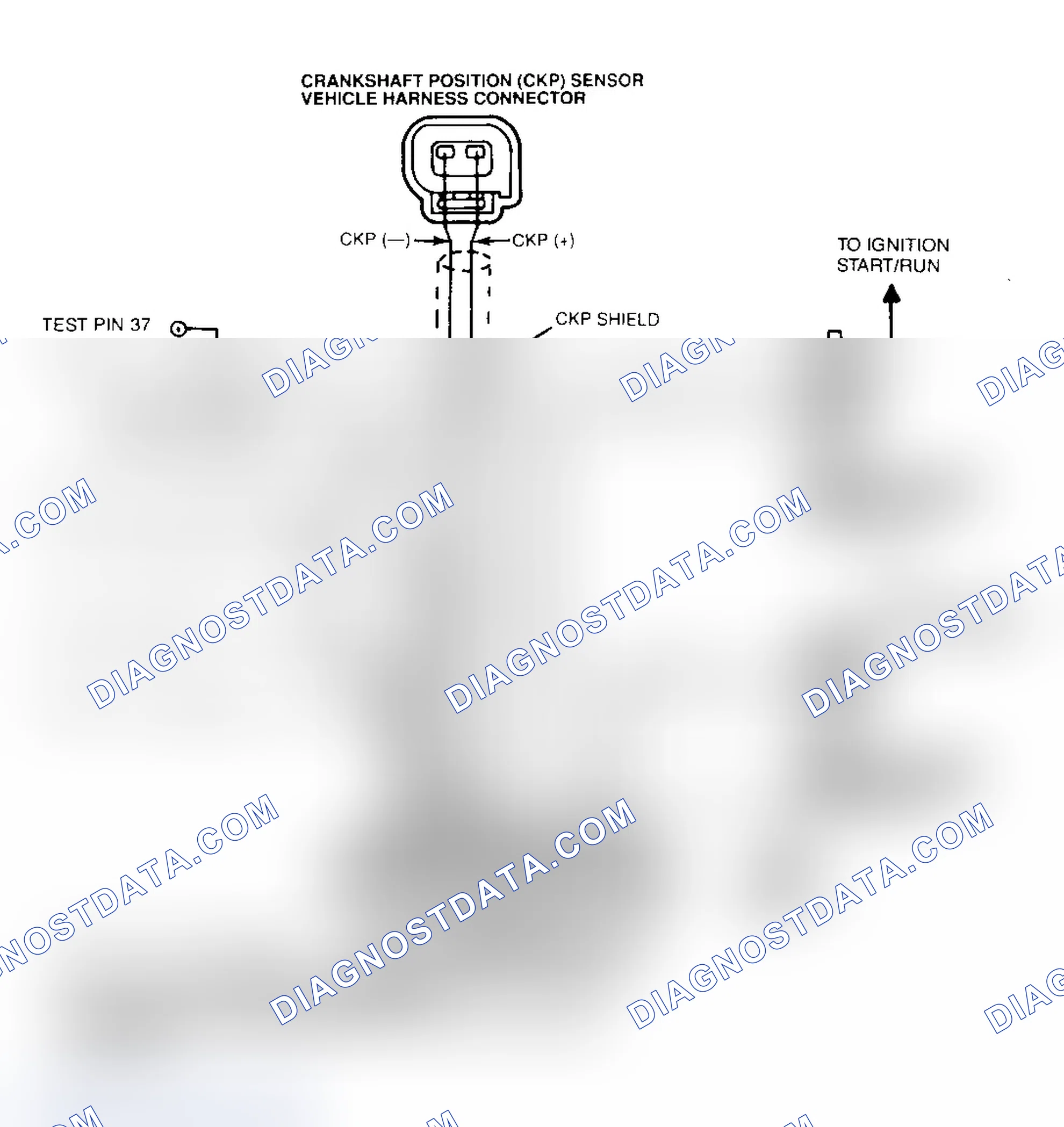 Scheme 22: Ignition System Wiring Diagram (4.6L)