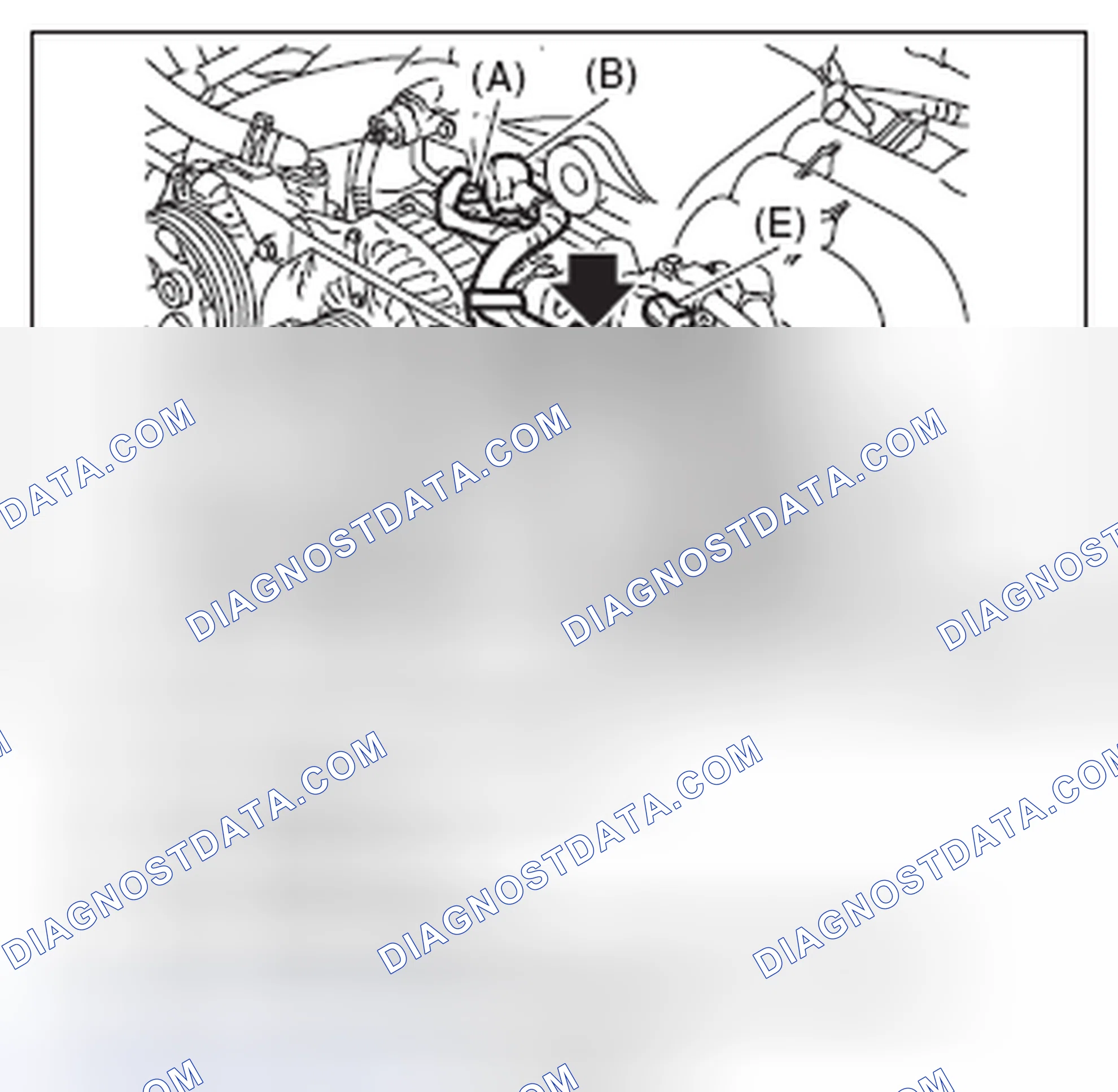 Scheme 487