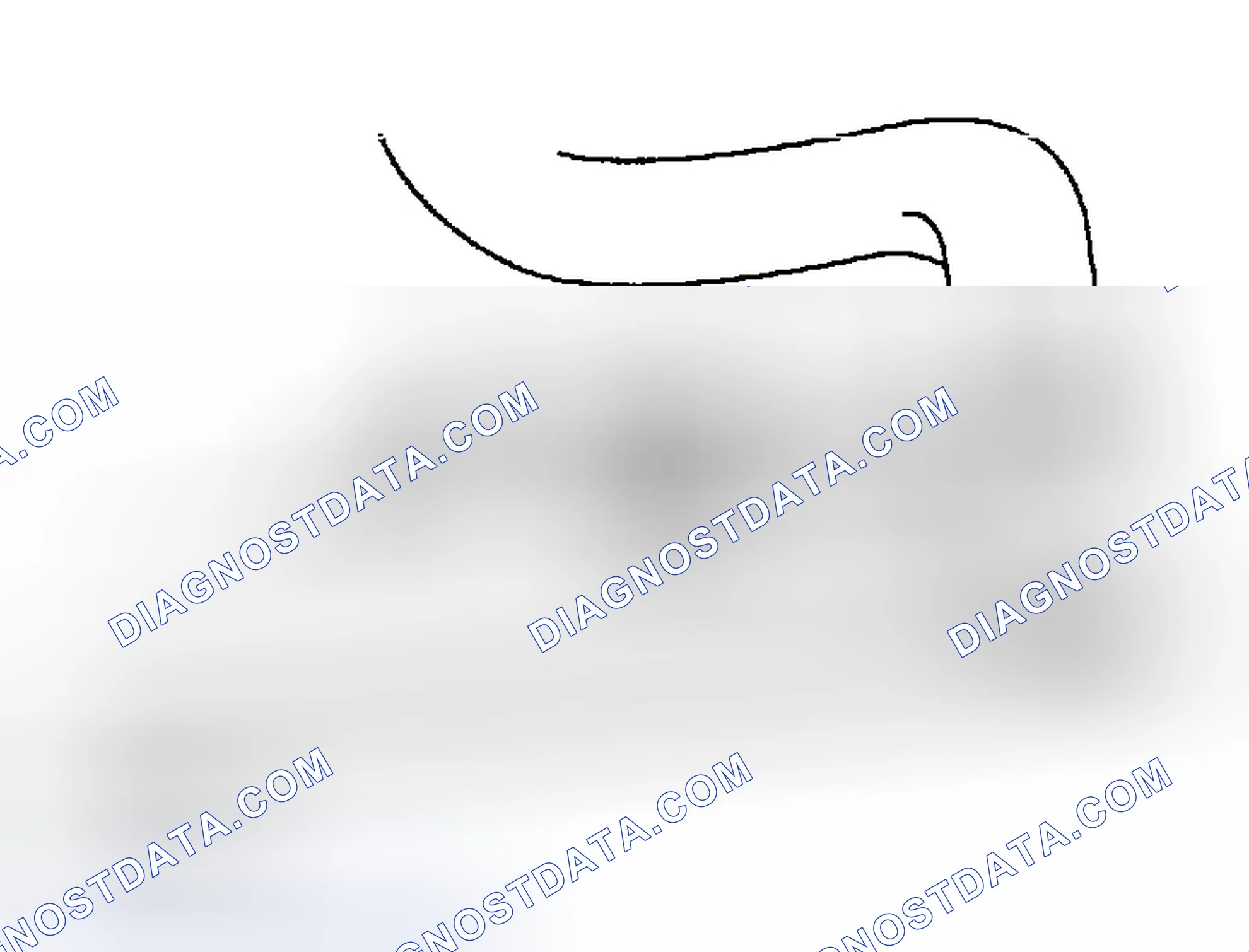 Scheme 250: COOLANT QUALITY