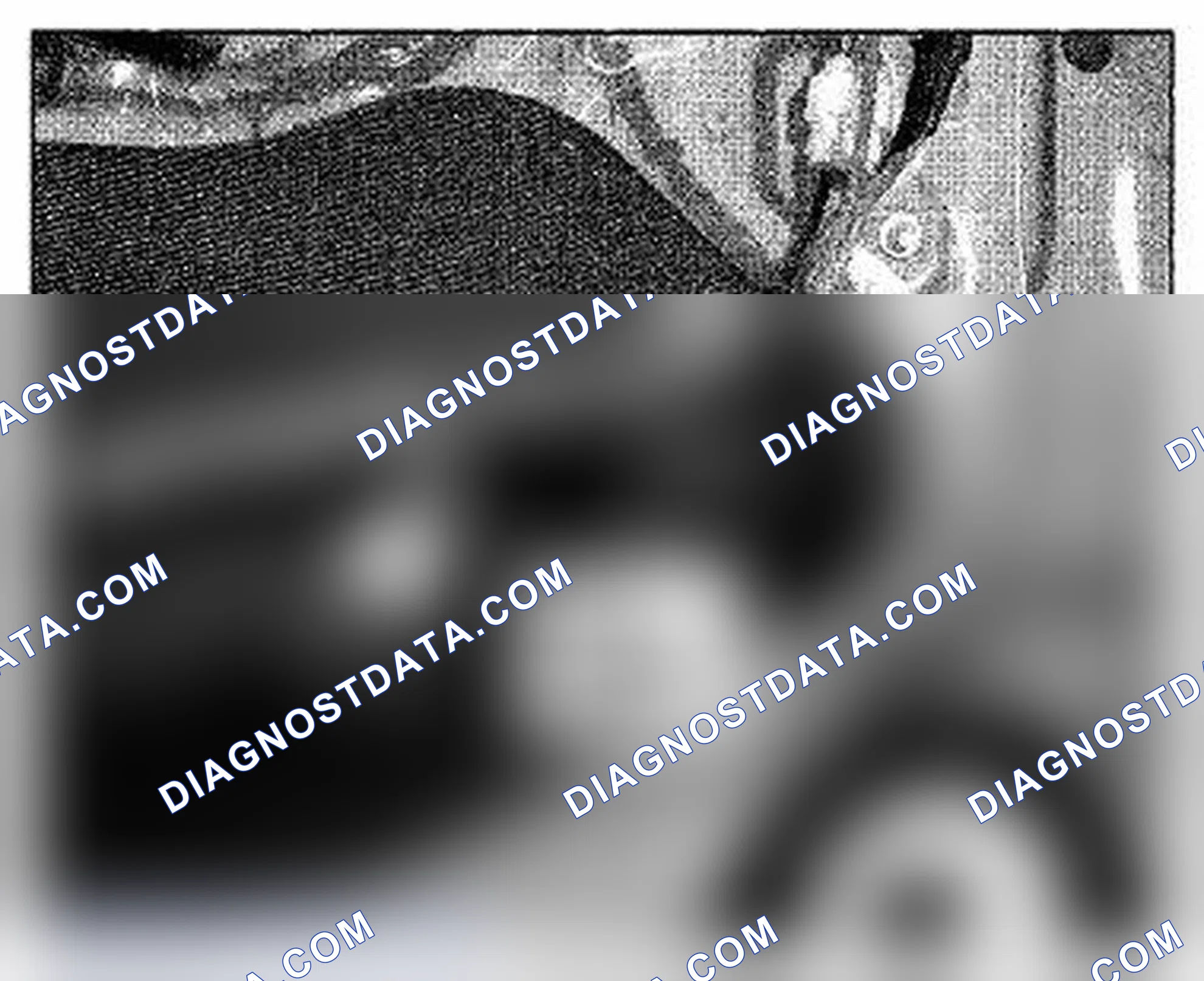 Scheme 523: Driver'S Door Component Location (Photo 136)