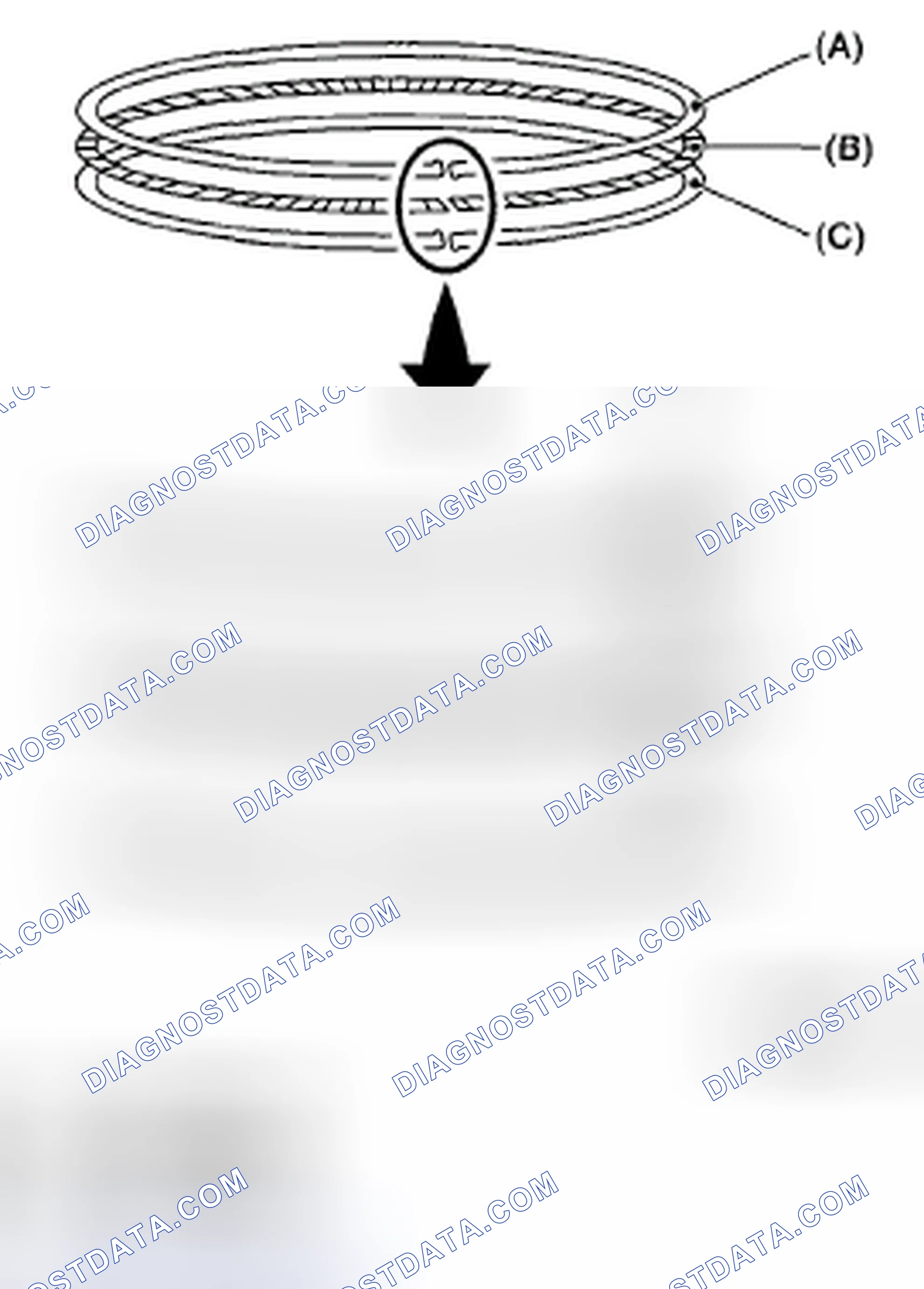 Scheme 420: PISTON RING