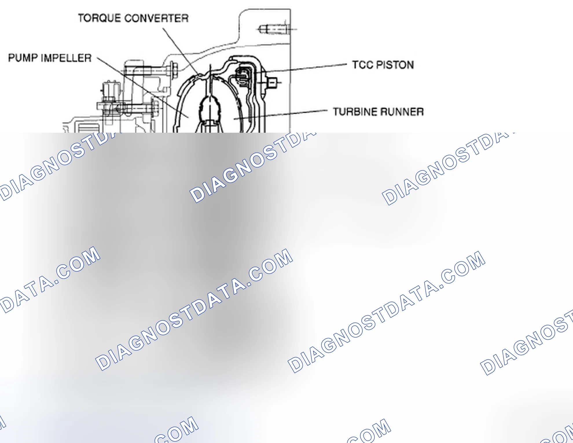 Scheme 507