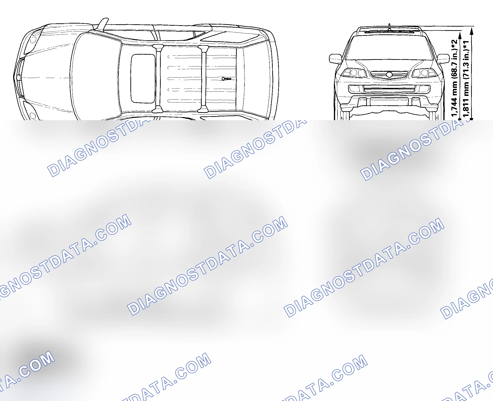 Scheme 1: Body Specifications