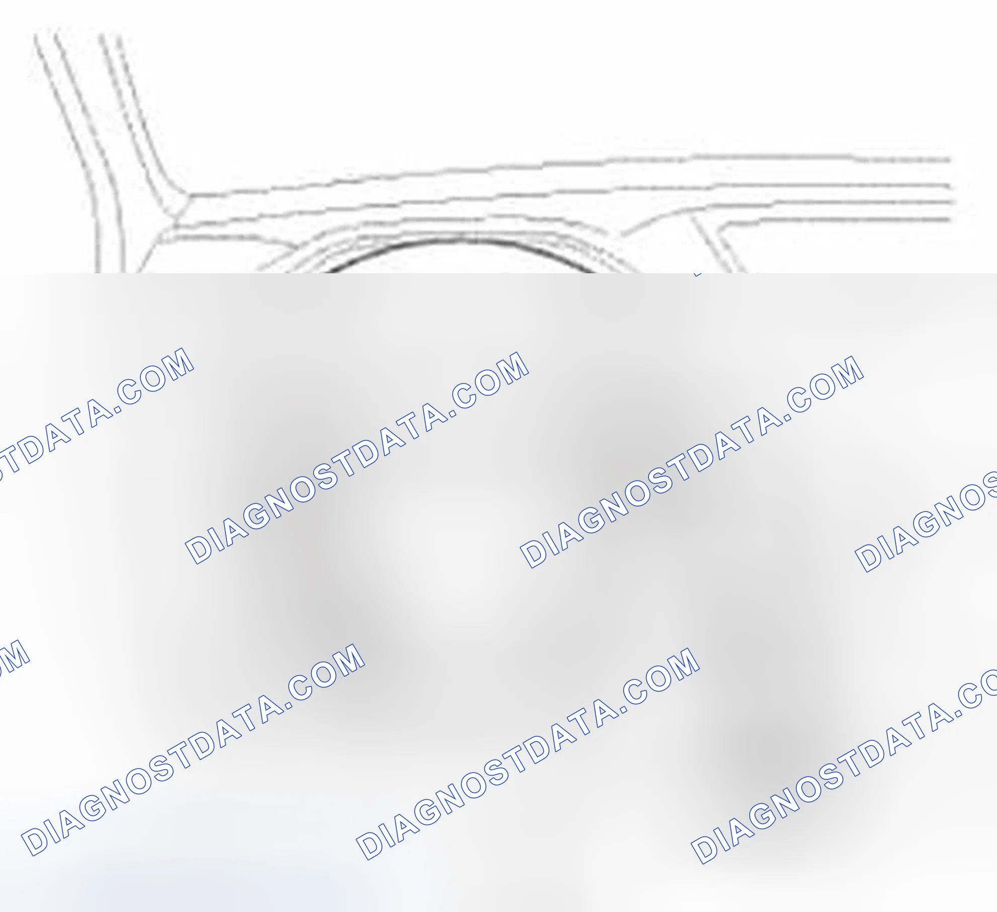 Scheme 1: Check