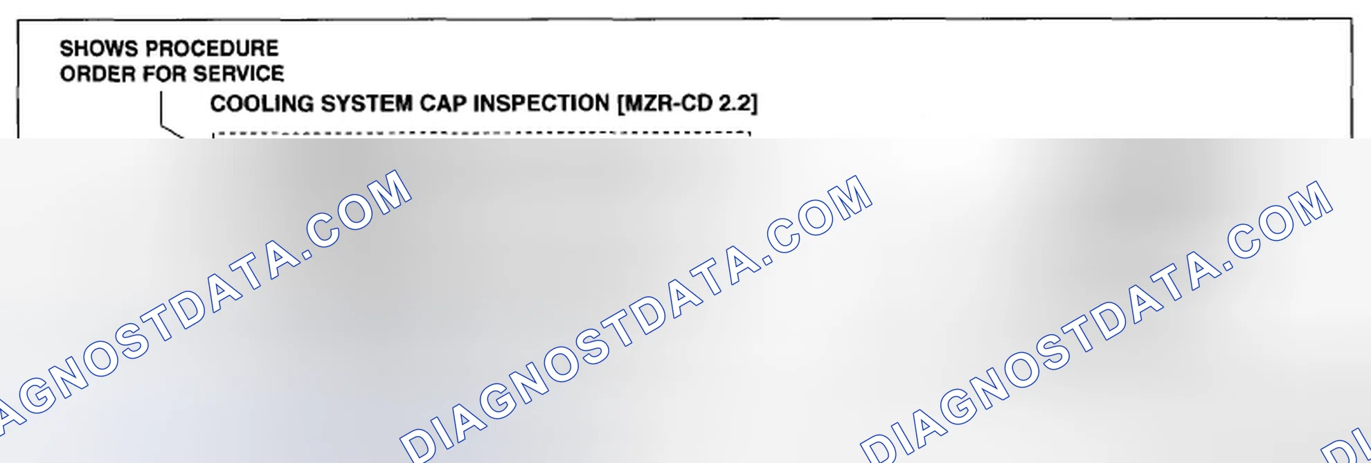 Scheme 4: Inspecting Cooling System Cap