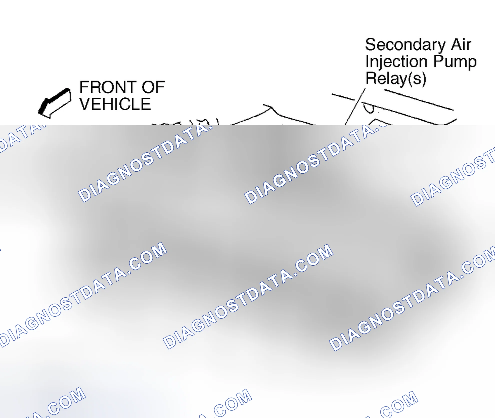 Scheme 19: Diagnostic Procedures