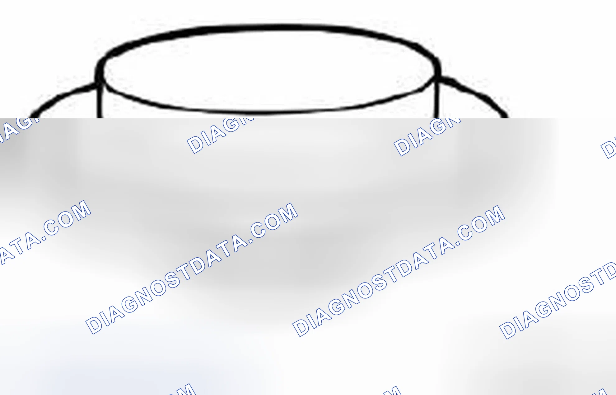 Scheme 350: 24 4 090 Drift