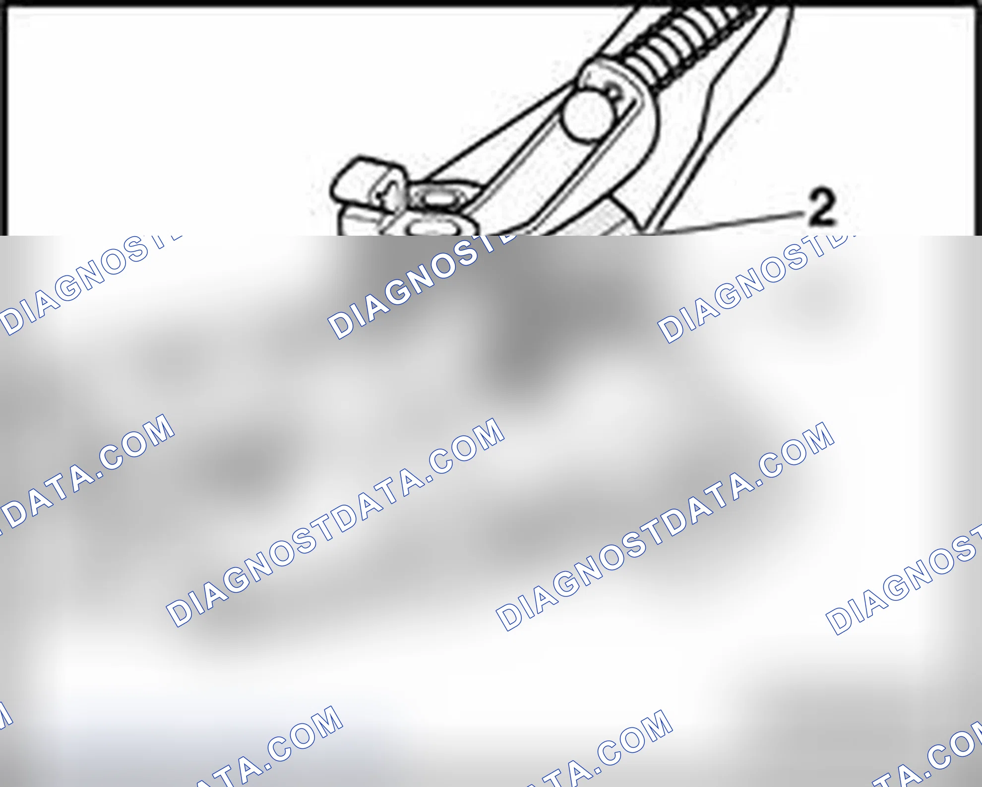 Scheme 335