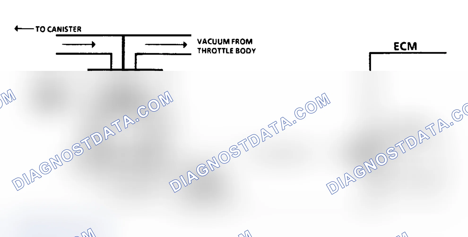 Scheme 481: Chart C3 Schematic, Canister Purge Check (3.8L "C" & "H" Bodies)