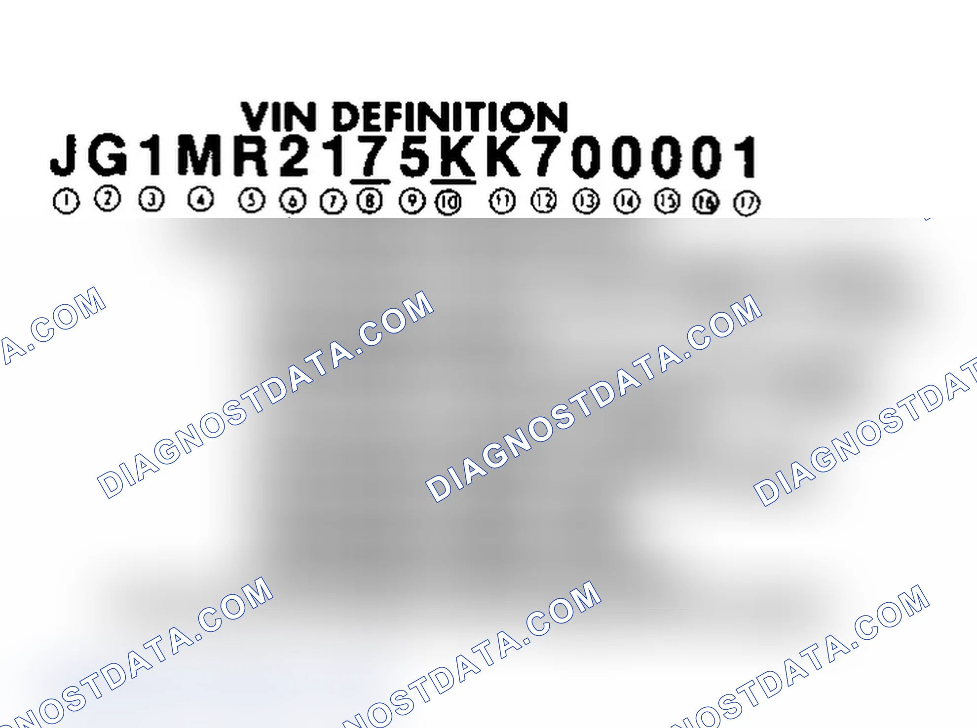 Scheme 1: VIN Identification