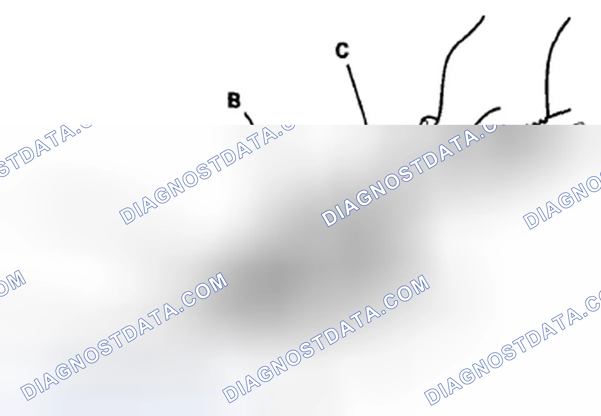Scheme 18