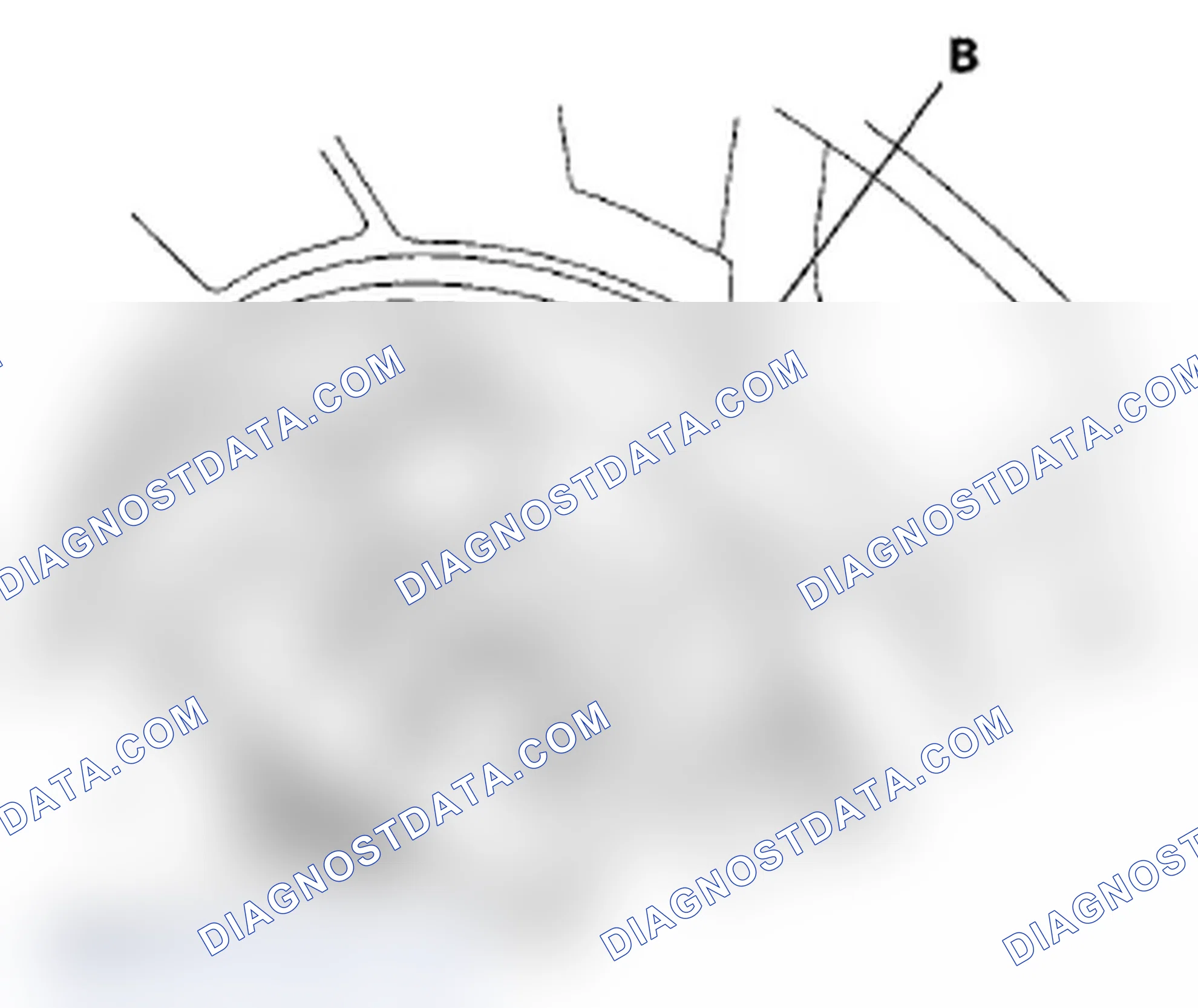 Scheme 58: Disassembly