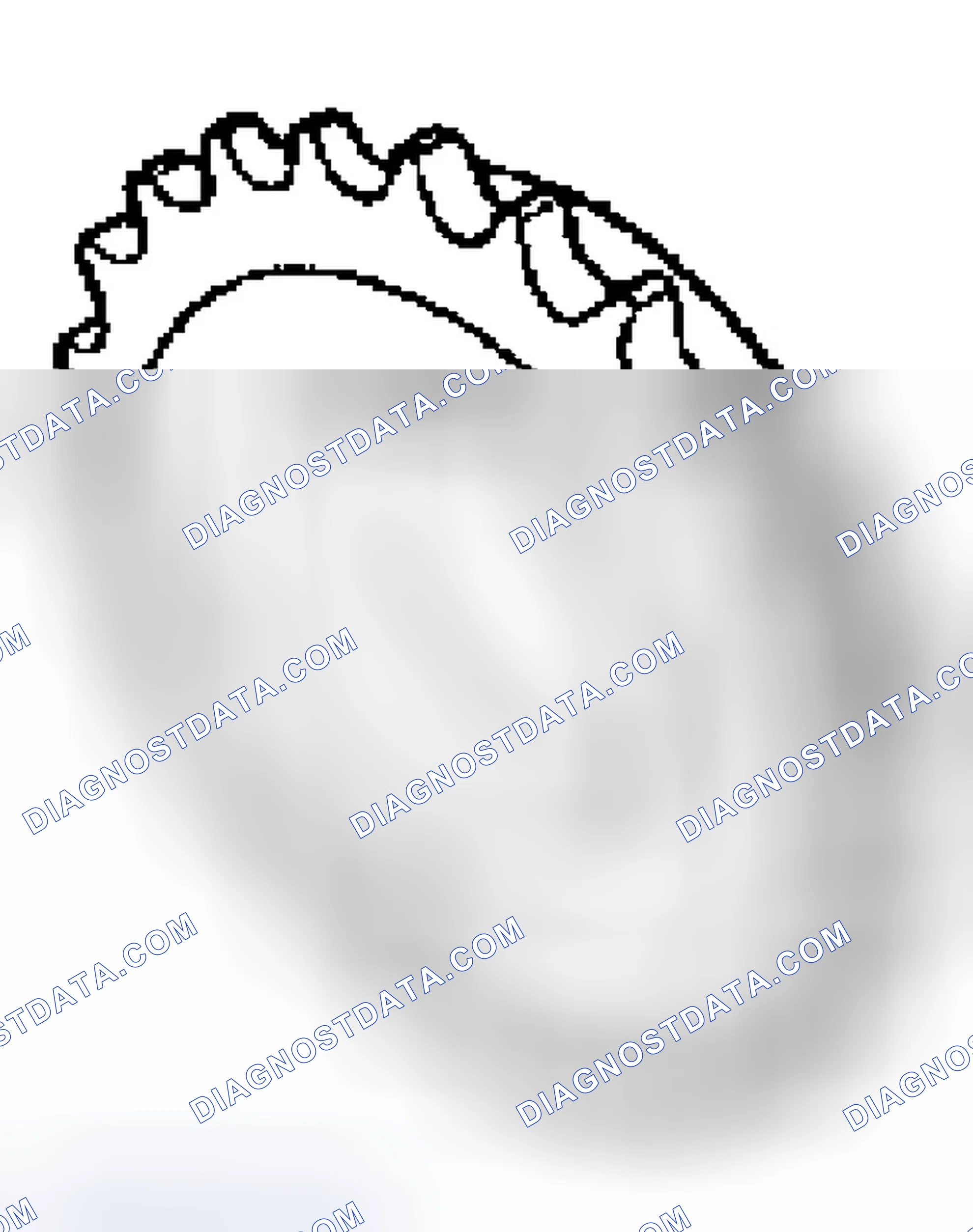 Scheme 146: Crankshaft Timing Sprocket