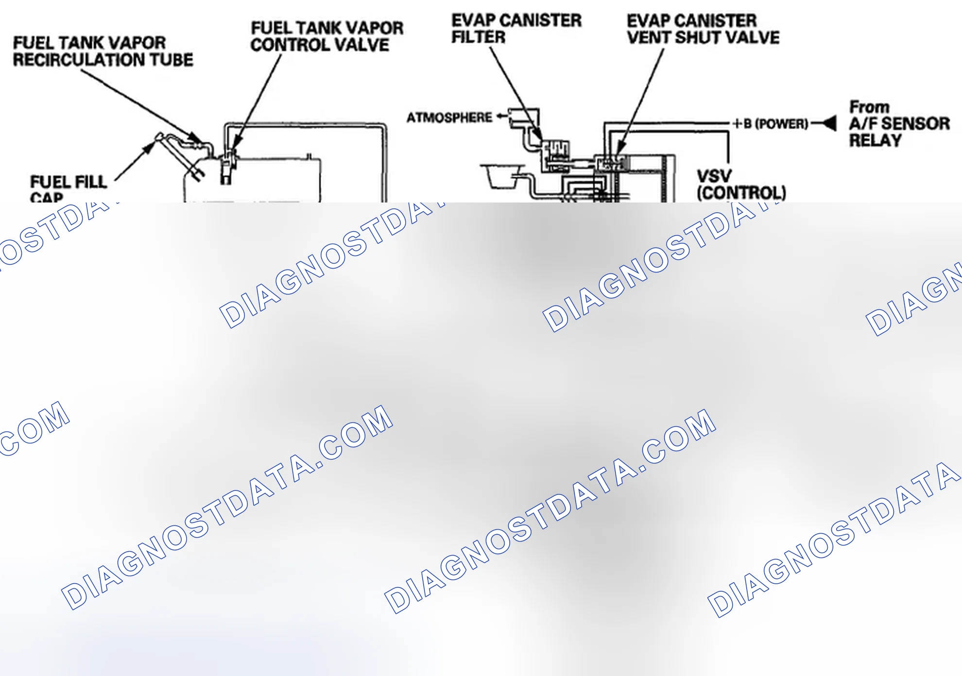 Scheme 143: Evaporative Emission (EVAP) Control Diagram