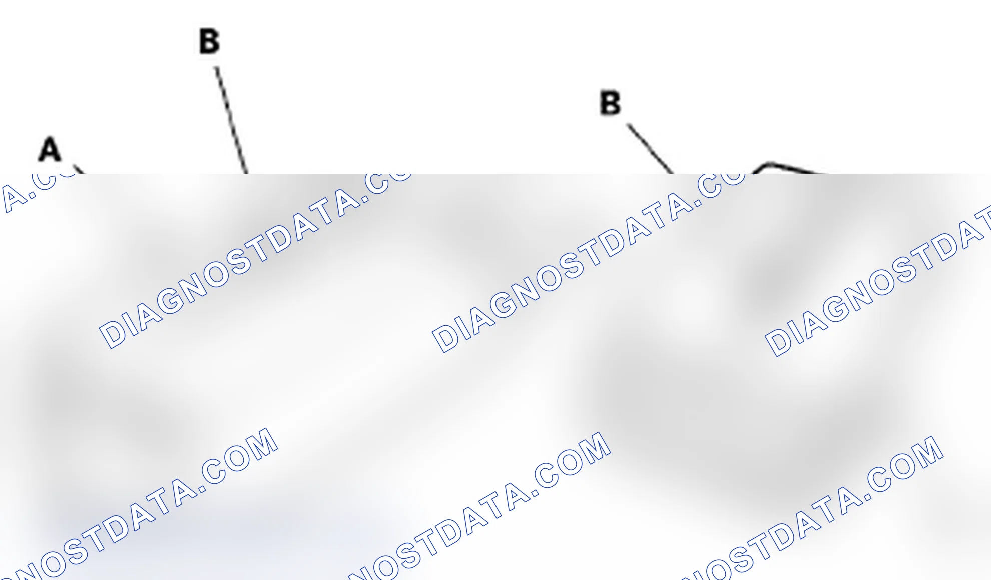 Scheme 81